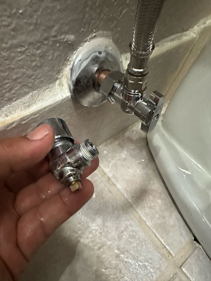 Sewer repair and hydrostatic water test. 