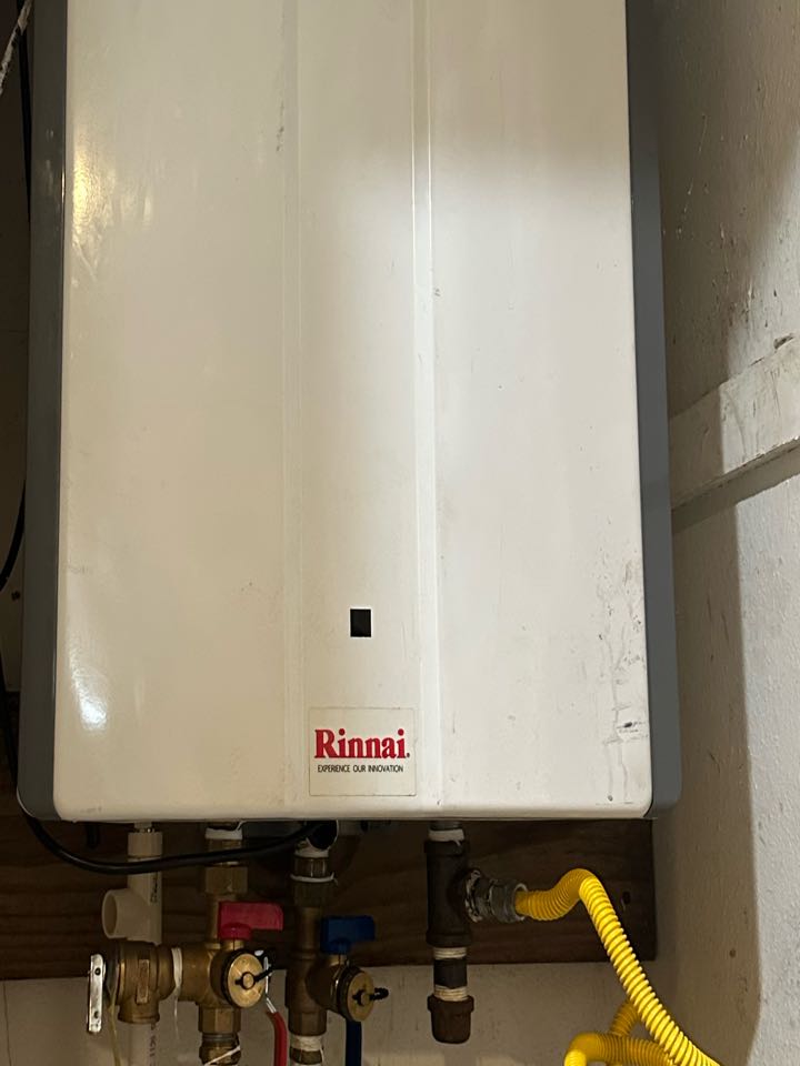 Tankless diagnostic/troubleshooting 