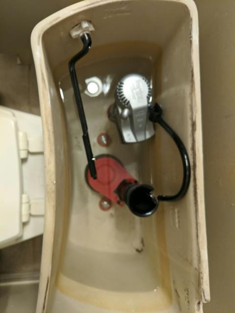 Replaced guts in toilet and other misc repairs. 