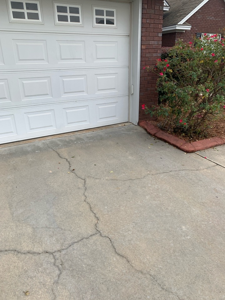 Snake removal 
