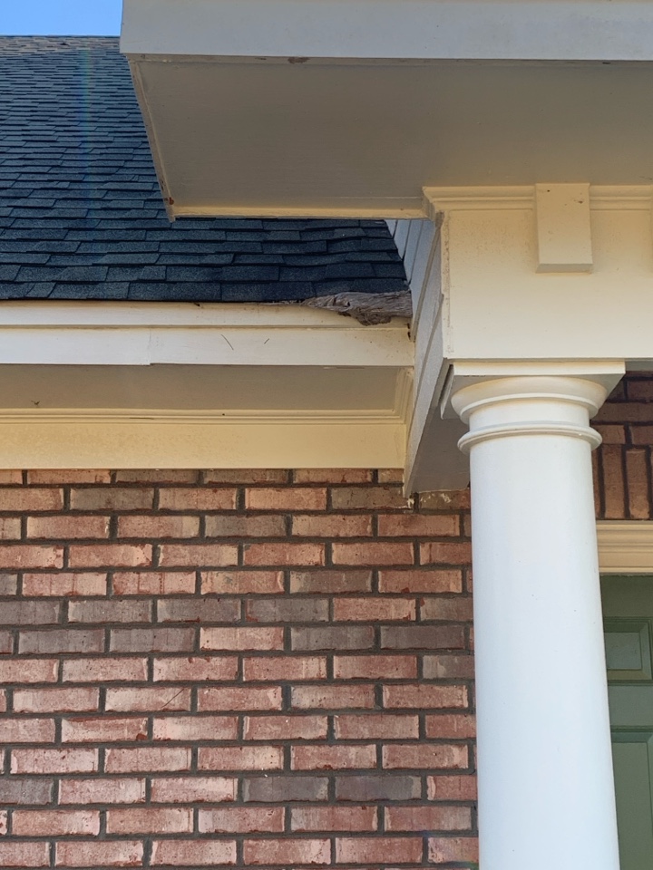 Yellow jacket removal 