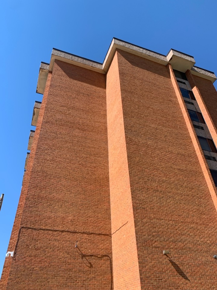 Montgomery, AL - Bat removal 