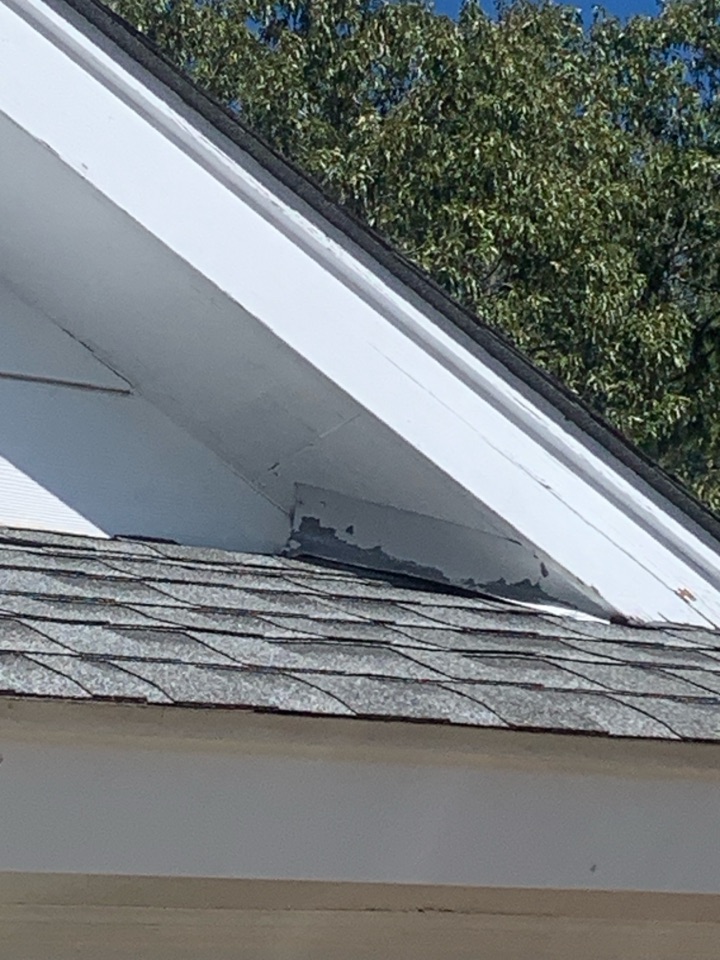 Auburn, AL - Squirrel removal 