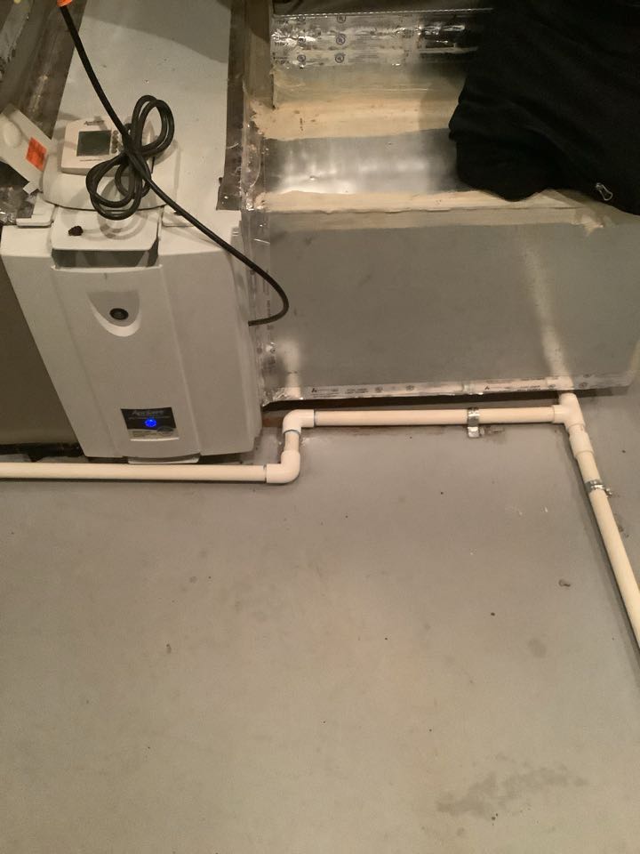 McLean, VA - Before, Carrier Gas Furnace Leaking, Condensate Line Repair, Clogged Condensate Line