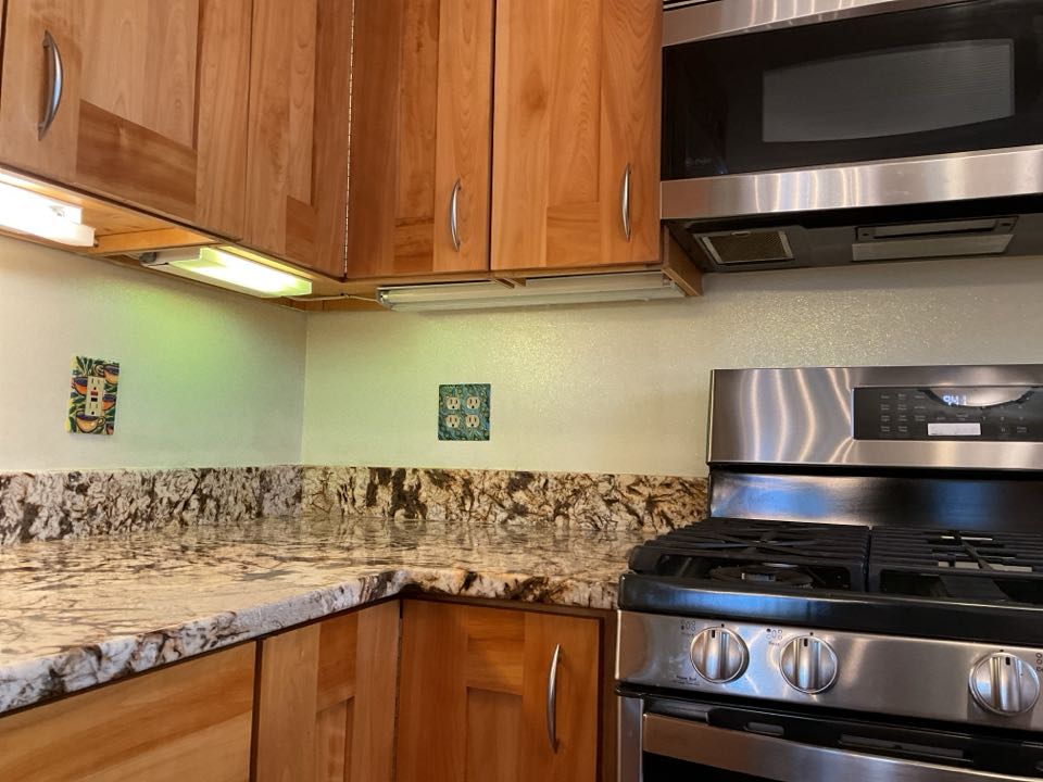 Arlington, VA - Electrician, master electrician, under the cabinet lights, replace kitchen lights.