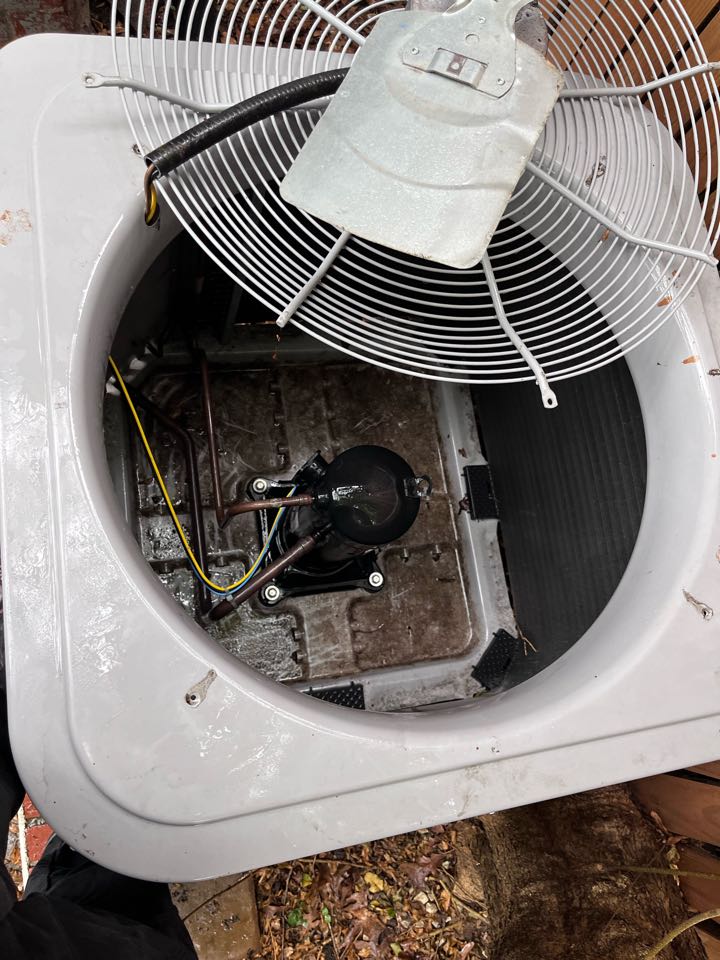 Arlington, VA - Carrier AC service, clean outdoor ac.