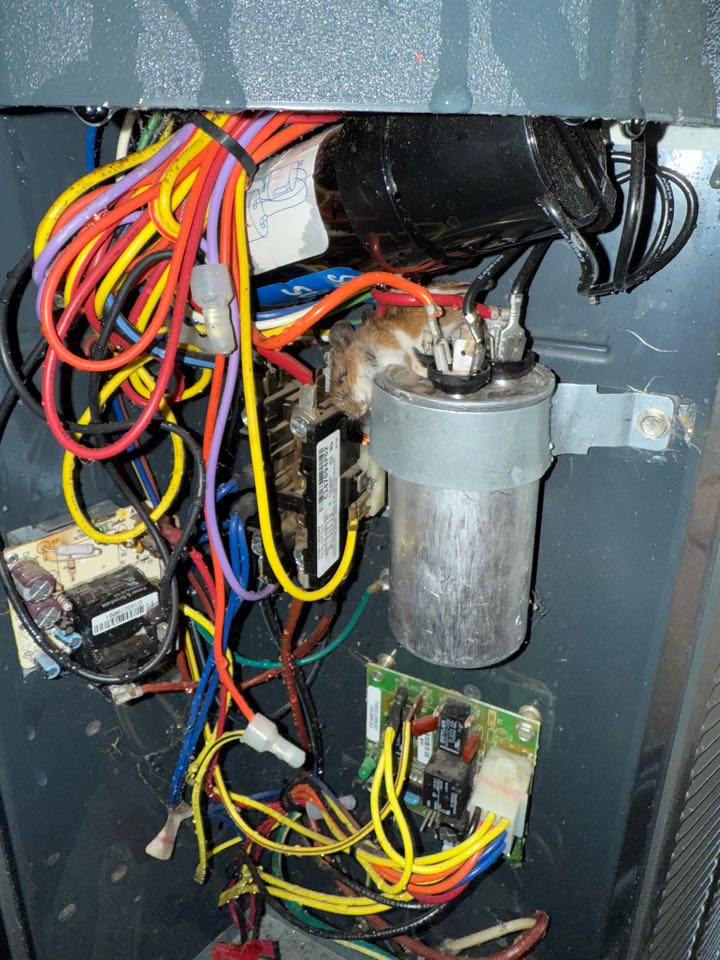 Great Falls, VA - Maintenance On My Heat Pump, Heat Pump, Great Falls, Trane, Tune-Up On My Heat Pump, Heat Pump Maintenance, HVAC, HVAC Tune-Up, HVAC Maintenance, Maintenance Agreement, Maintenance Contract, Service Agreement, Service Contract,