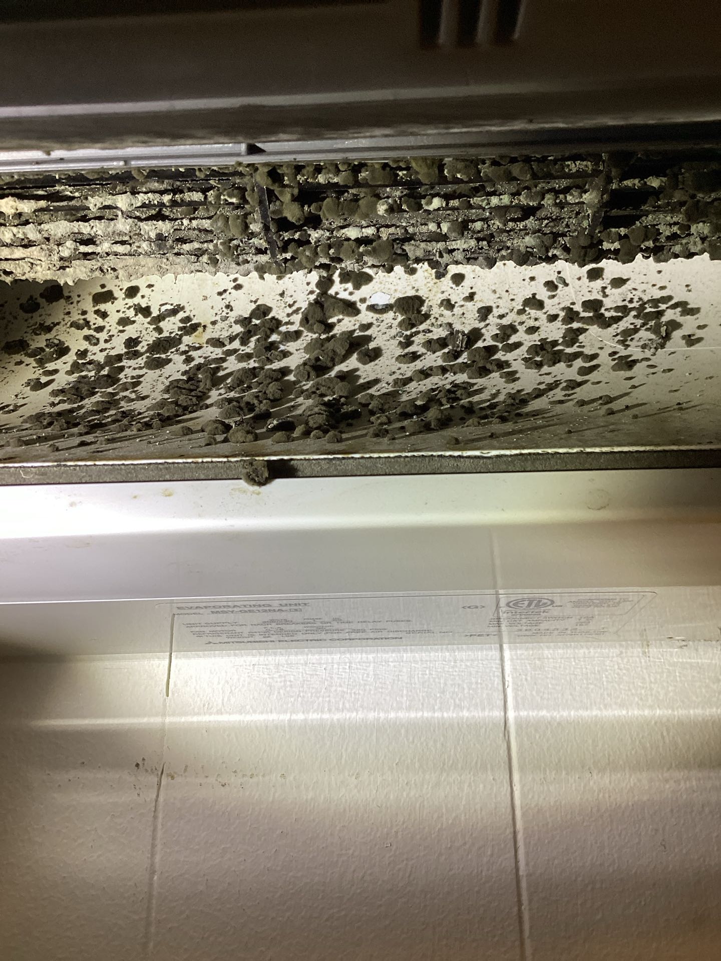 Arlington, VA - Carrier Heat Pump, Mitsubishi Mini Spilt, Mini Spilt Cleaning, Maintenance Agreement, Summer Cooling Check, A/C Maintenance, Club Membership 