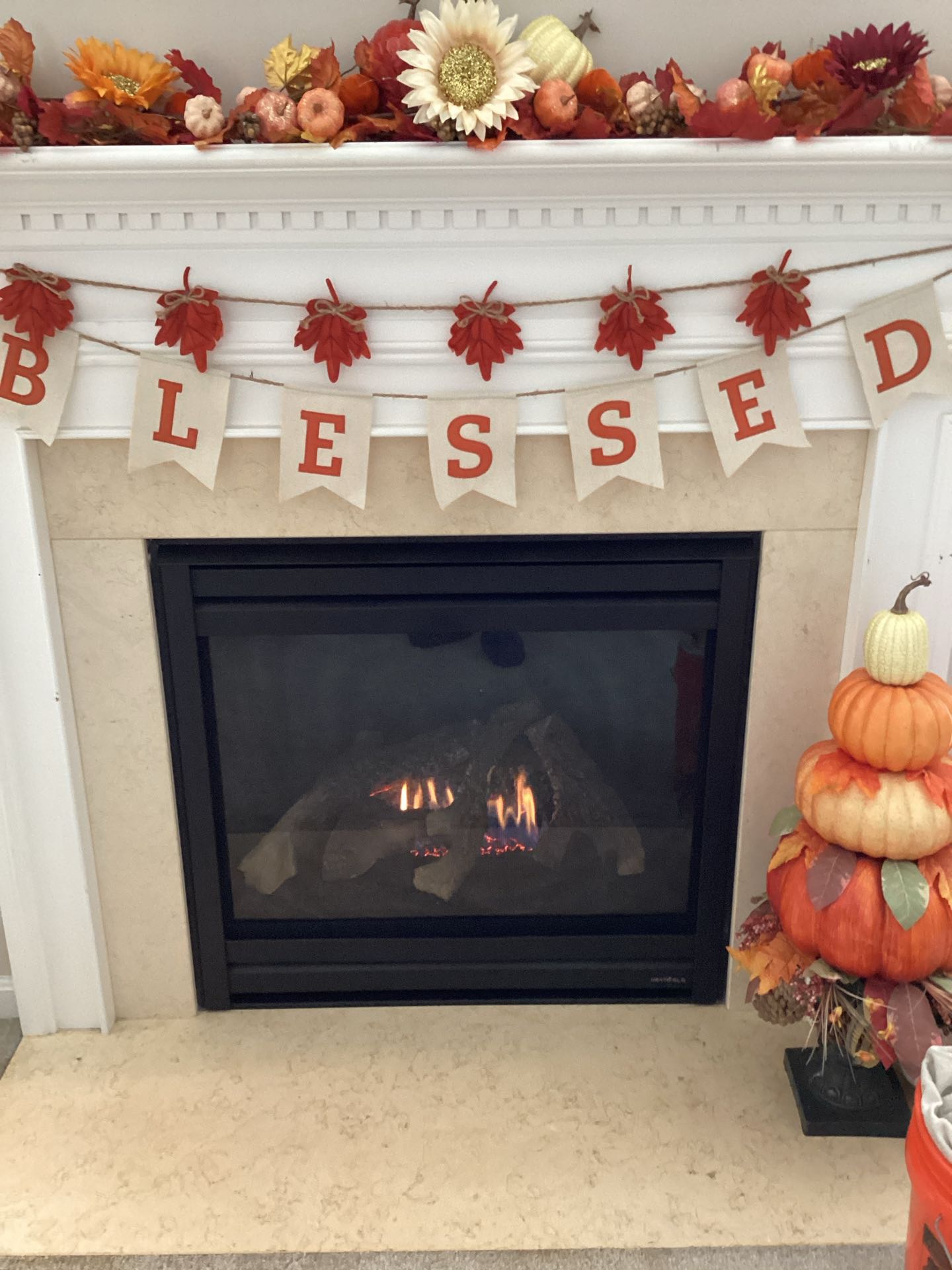 Gainesville, VA - Heat N Glow Gas Log Fireplace, Gas Fireplace Repair, Gas Fireplace Not Working, Gas Fireplace Cleaning, Gas Fireplace Maintenance 