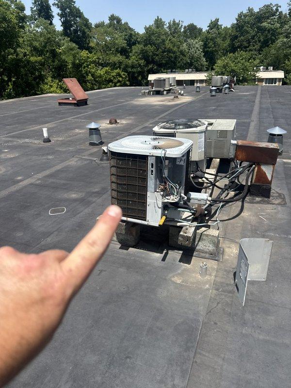 Responded to no cooling complaint at commercial facility with multiple rooftop HVAC units. Upon arrival, inspected rooftop packaged air conditioning systems and traced issue to electrical panel serving affected unit. Reset tripped circuit breaker at electrical distribution panel, restoring power to unit and returning system to normal operation.