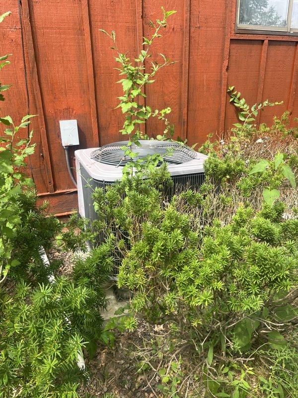 Conducted on-site evaluation of residential air conditioning system for replacement estimate. Assessed existing outdoor condensing unit located against perimeter fence, noting equipment accessibility concerns due to significant vegetation overgrowth surrounding unit. Documented current system condition through photographic survey, capturing condenser placement, clearance restrictions, and environmental factors affecting equipment performance and serviceability. Recommended vegetation clearance to meet manufacturer specifications for proper airflow and future maintenance access.
