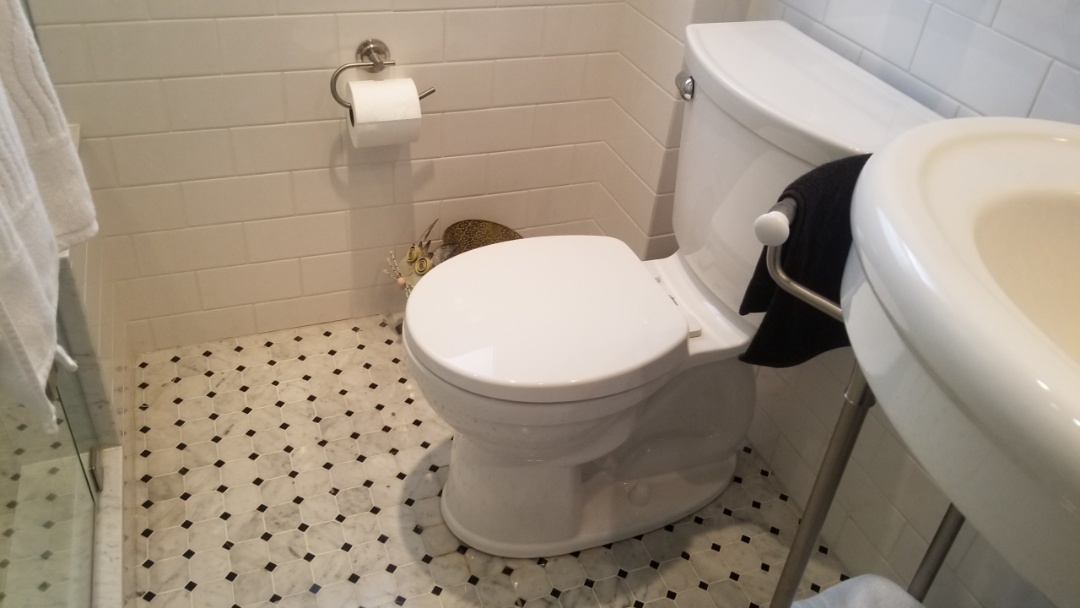 Installed owners toliet