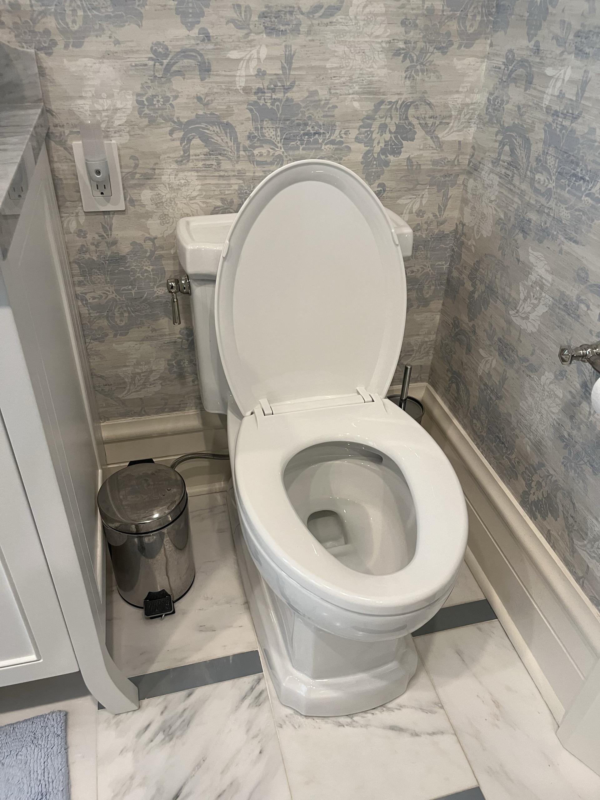Repair Toilet