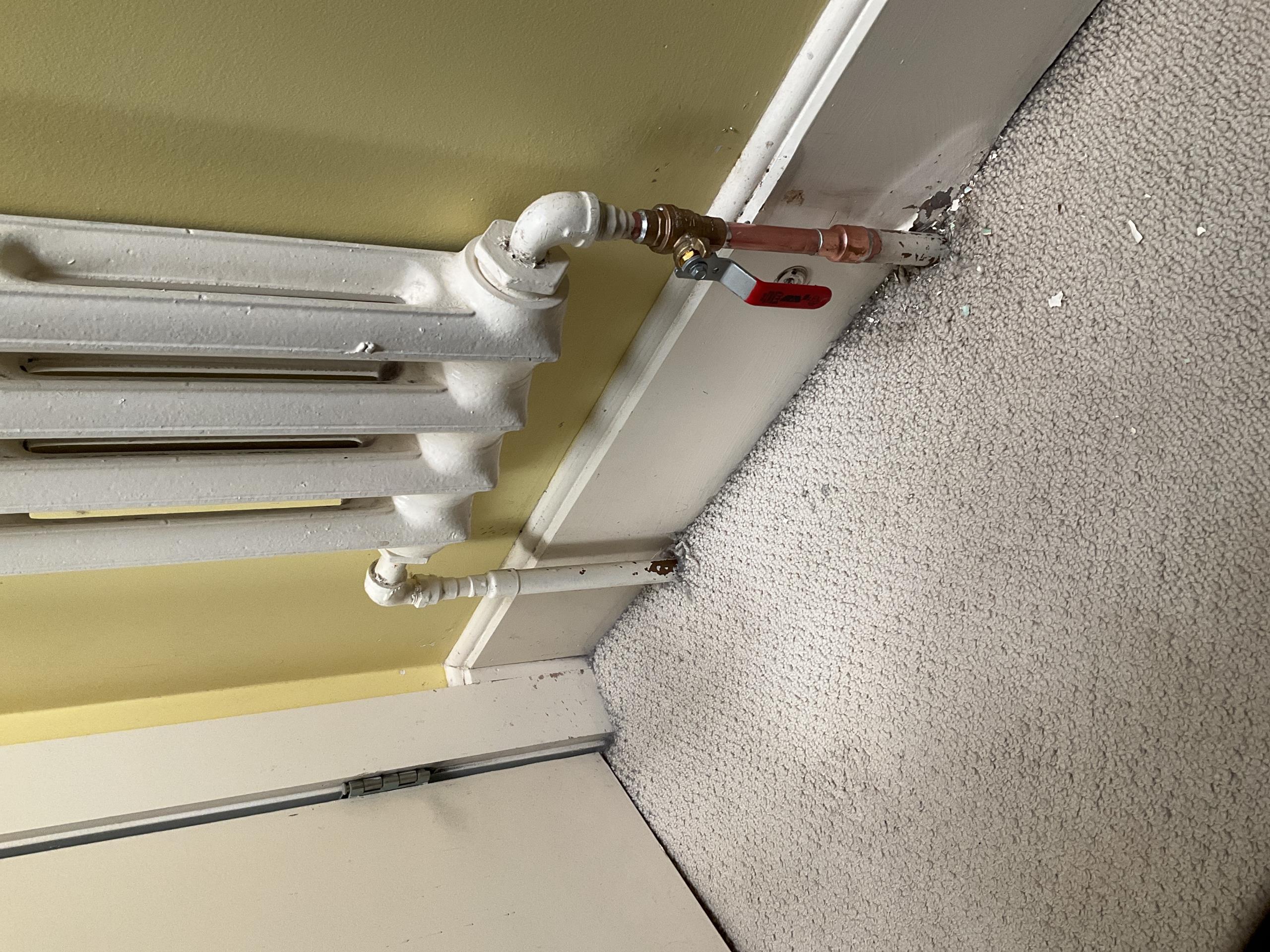 radiator valve leaking