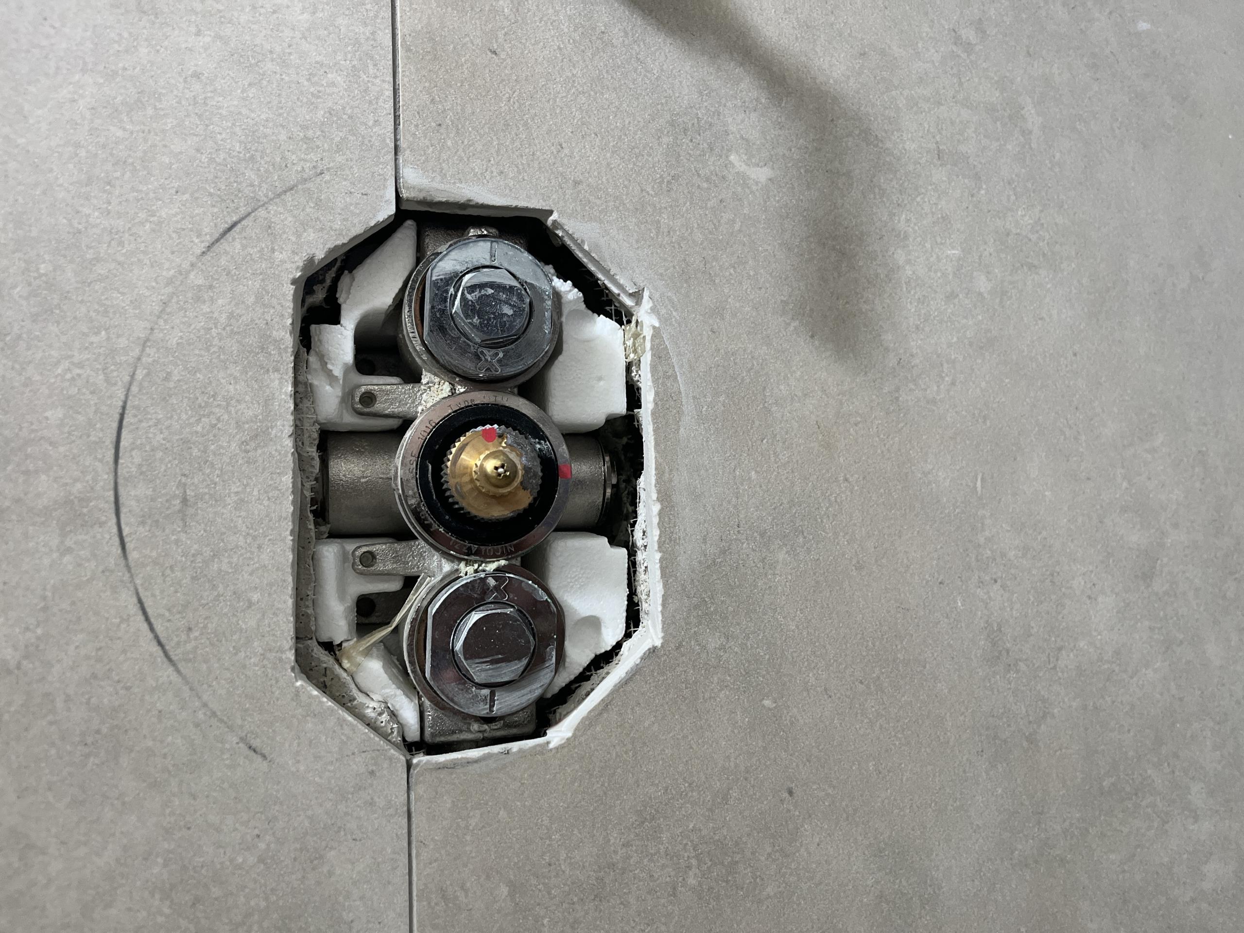 leak coming through ceiling, possily from shower above