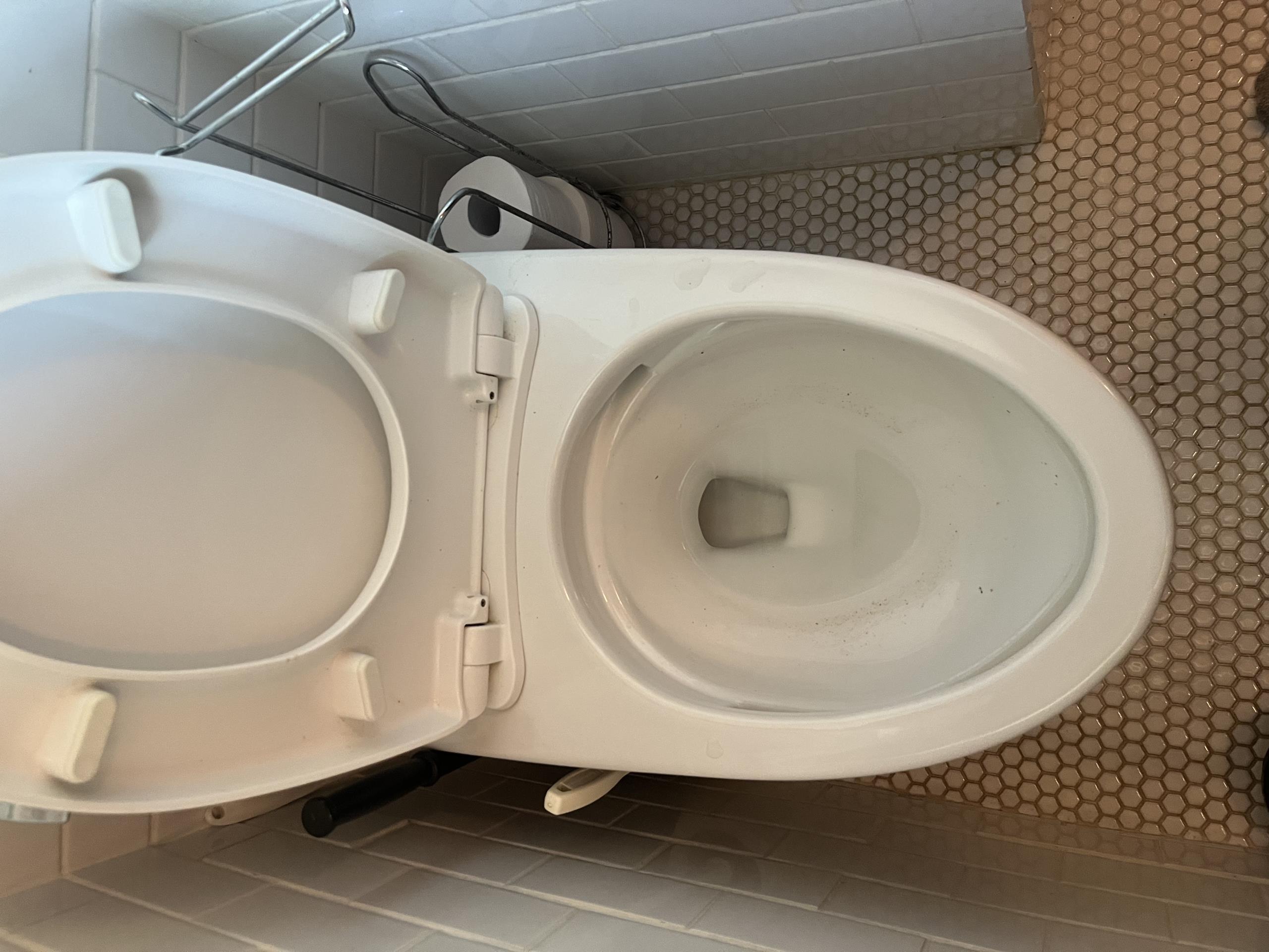 Clear Blocked Toilet 