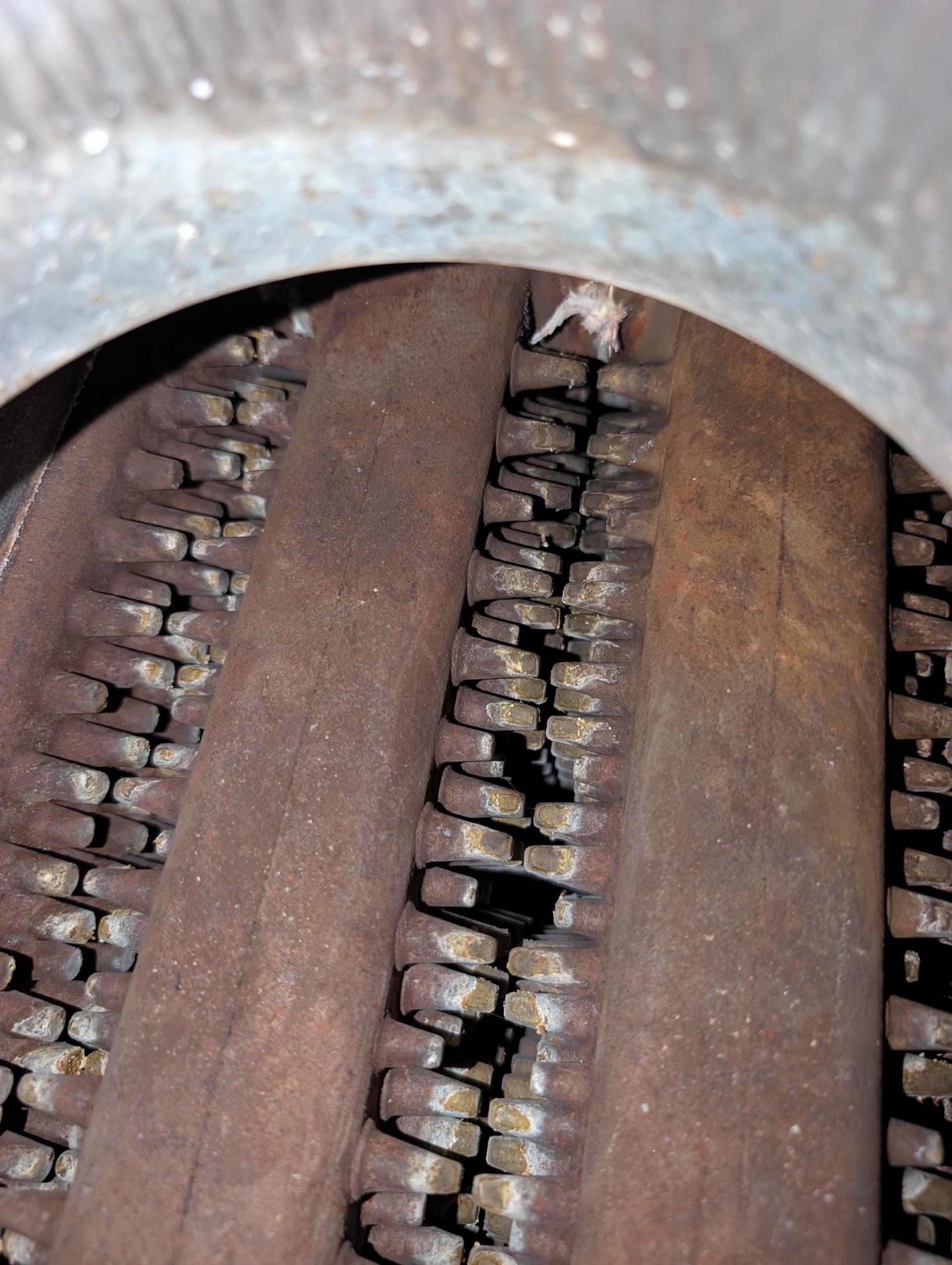 annual boiler maintenance