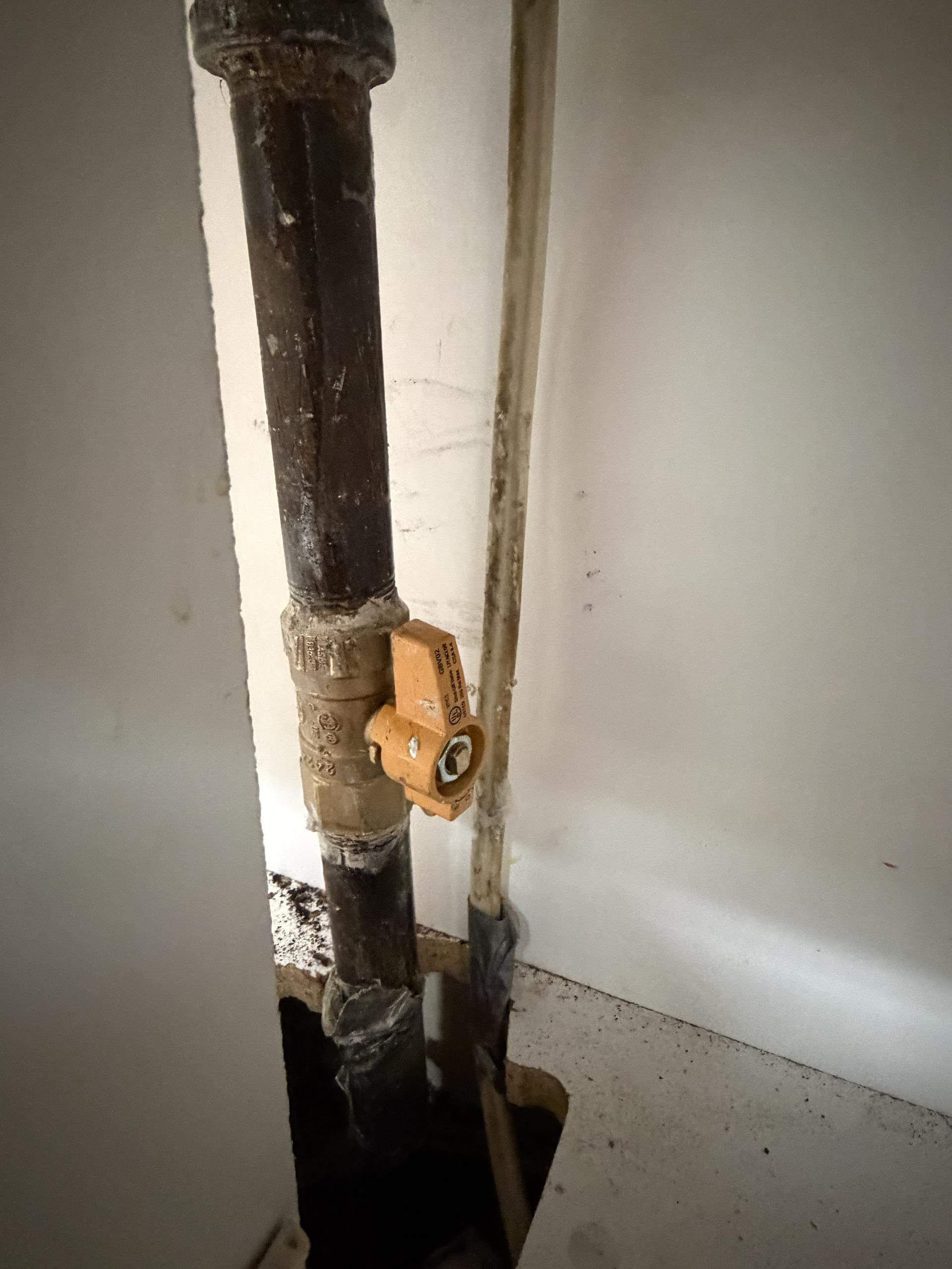Replace Gas Shut Off Valve 