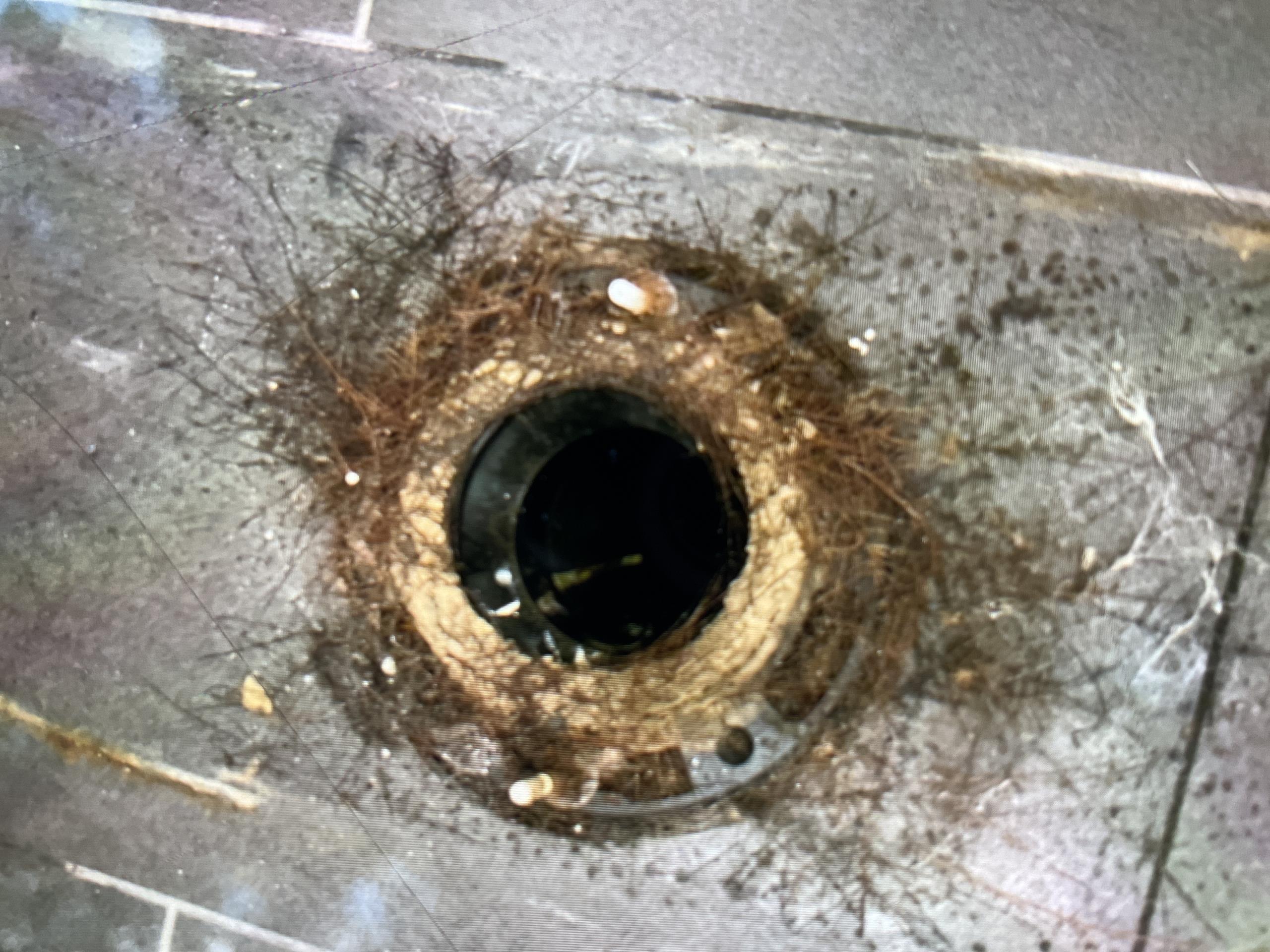 investigate sewage smell in house
