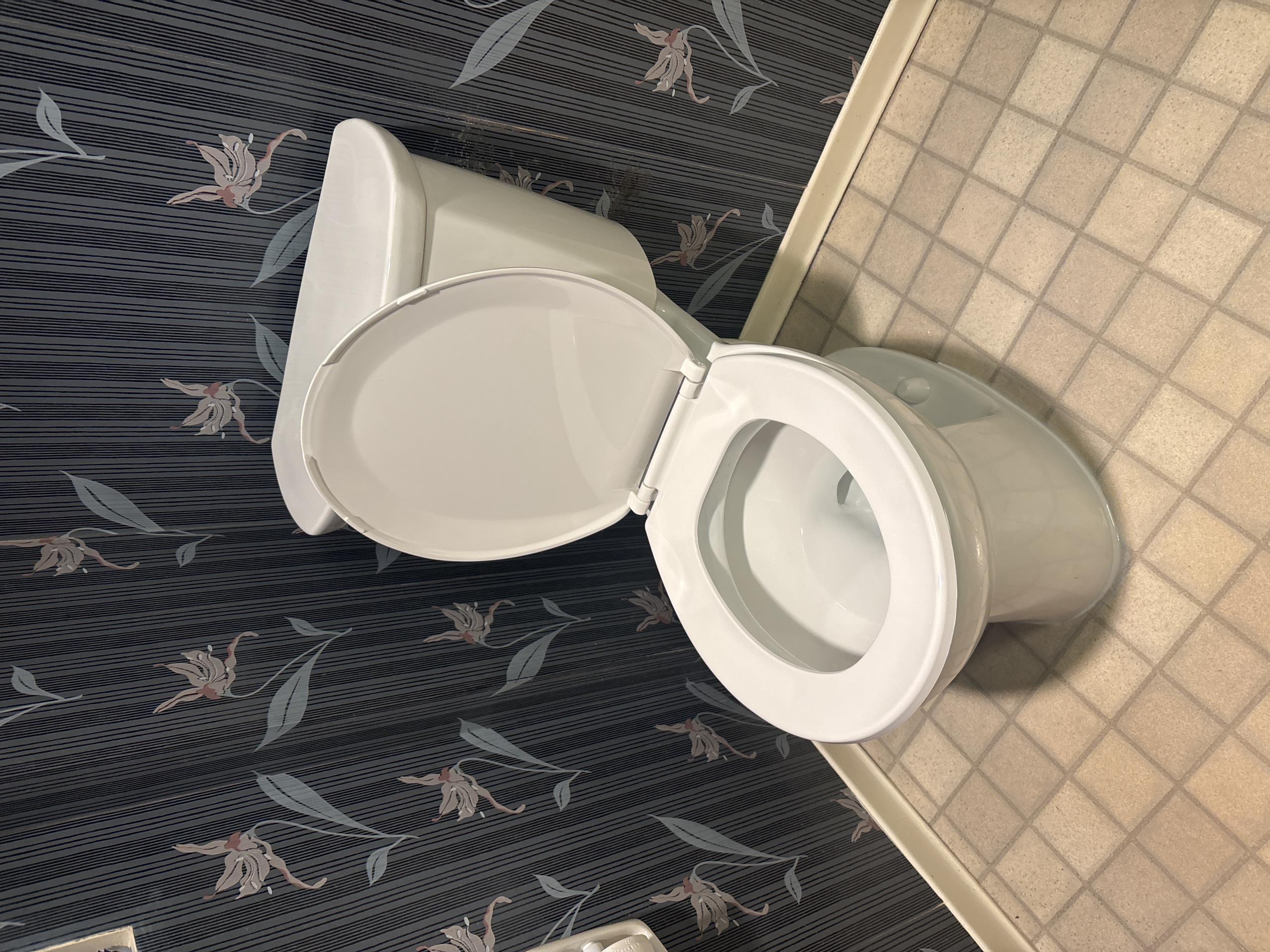 toilet install