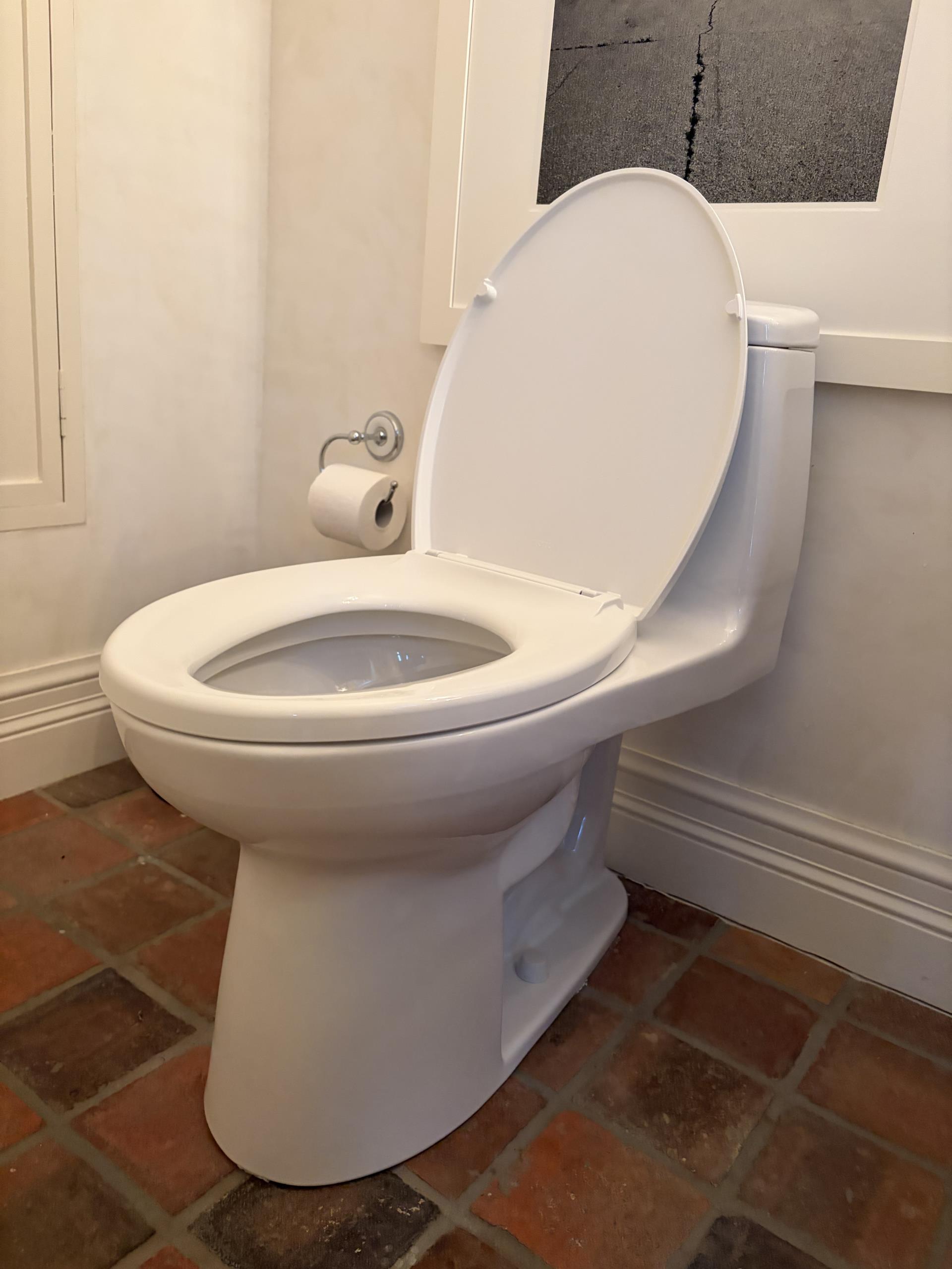 North York, ON - Install Toto Toilet