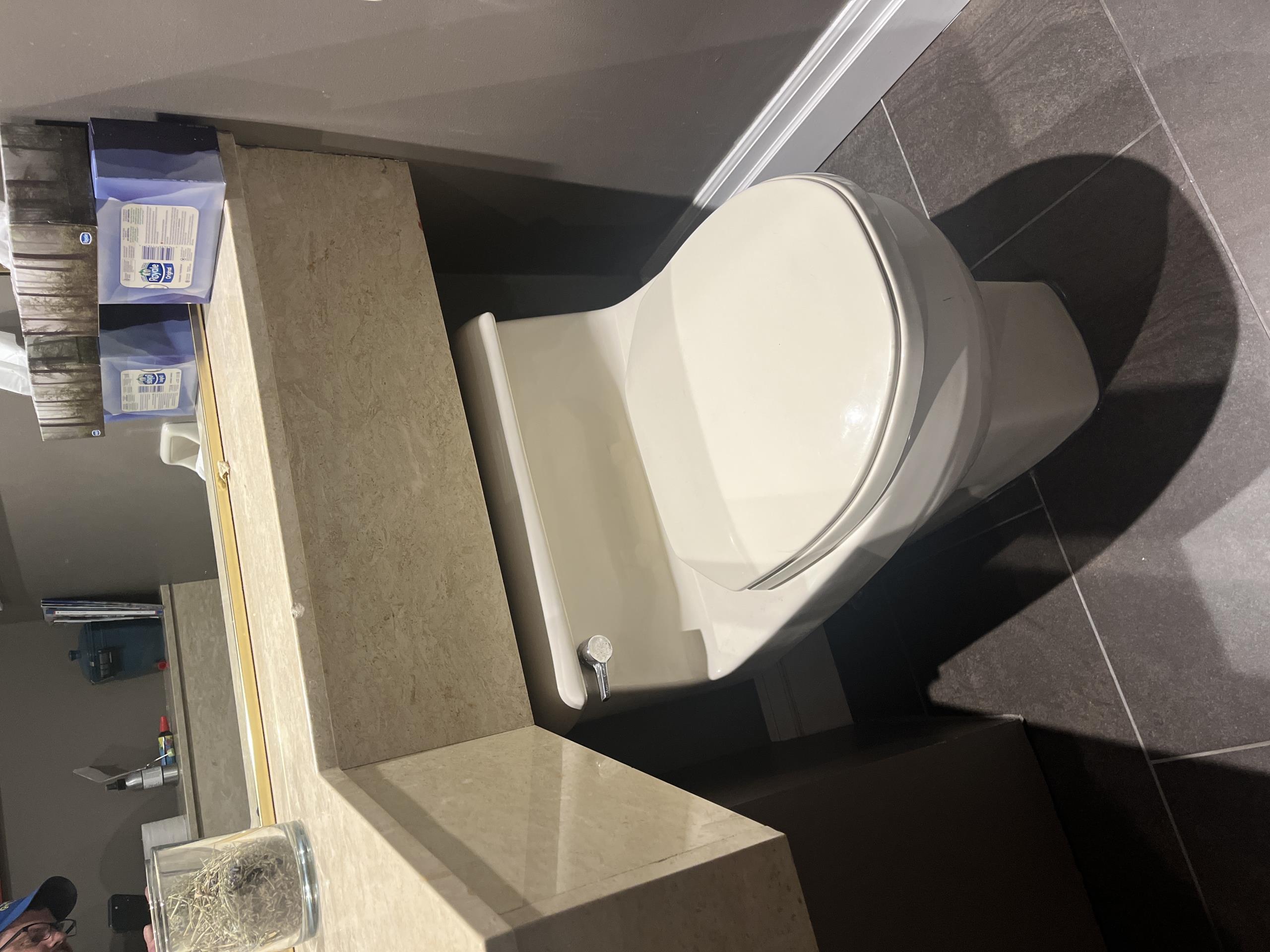 Repaired classic one piece American Standard toilet with very low profile tank. 