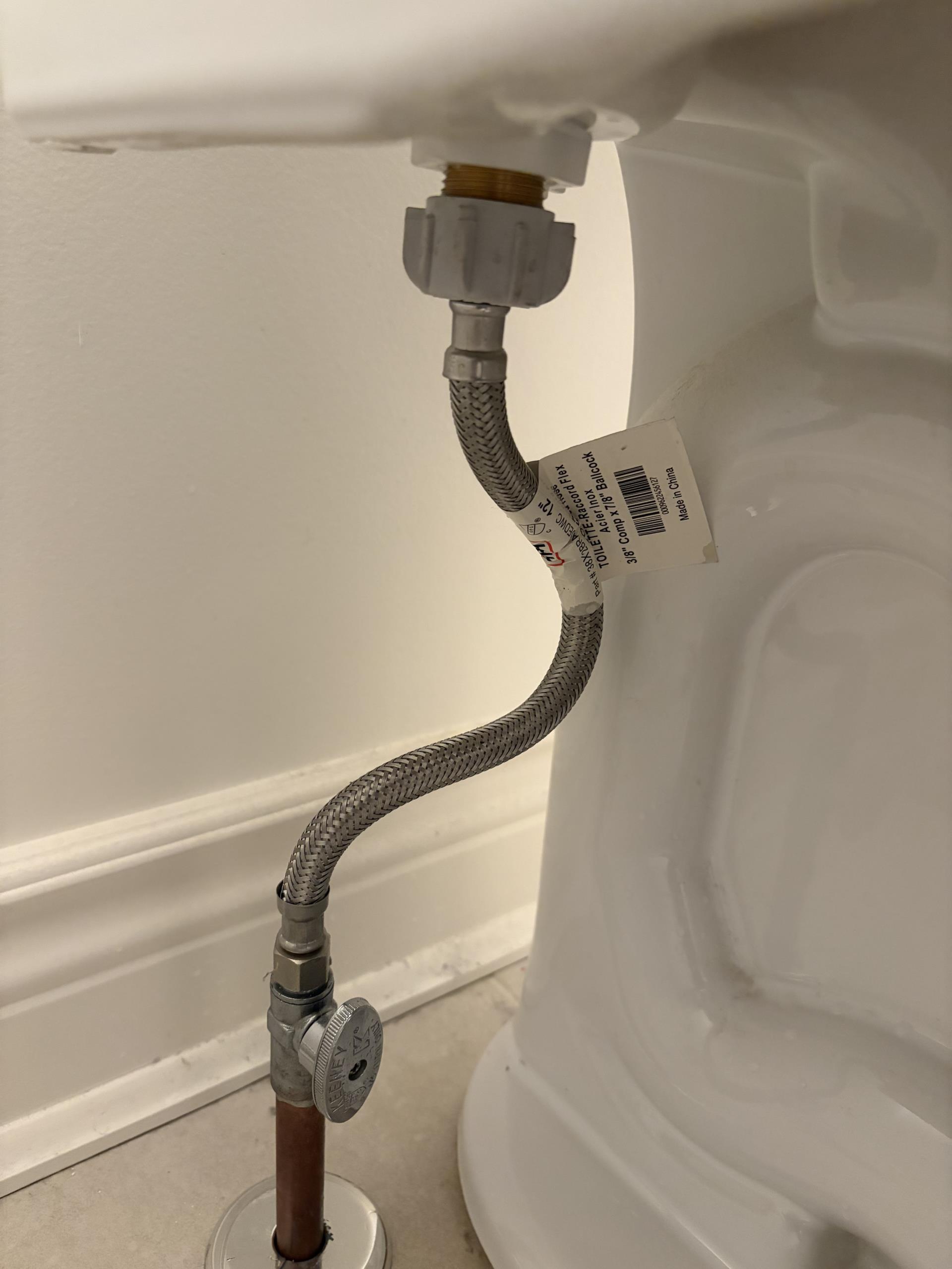 Replace Toilet Hose