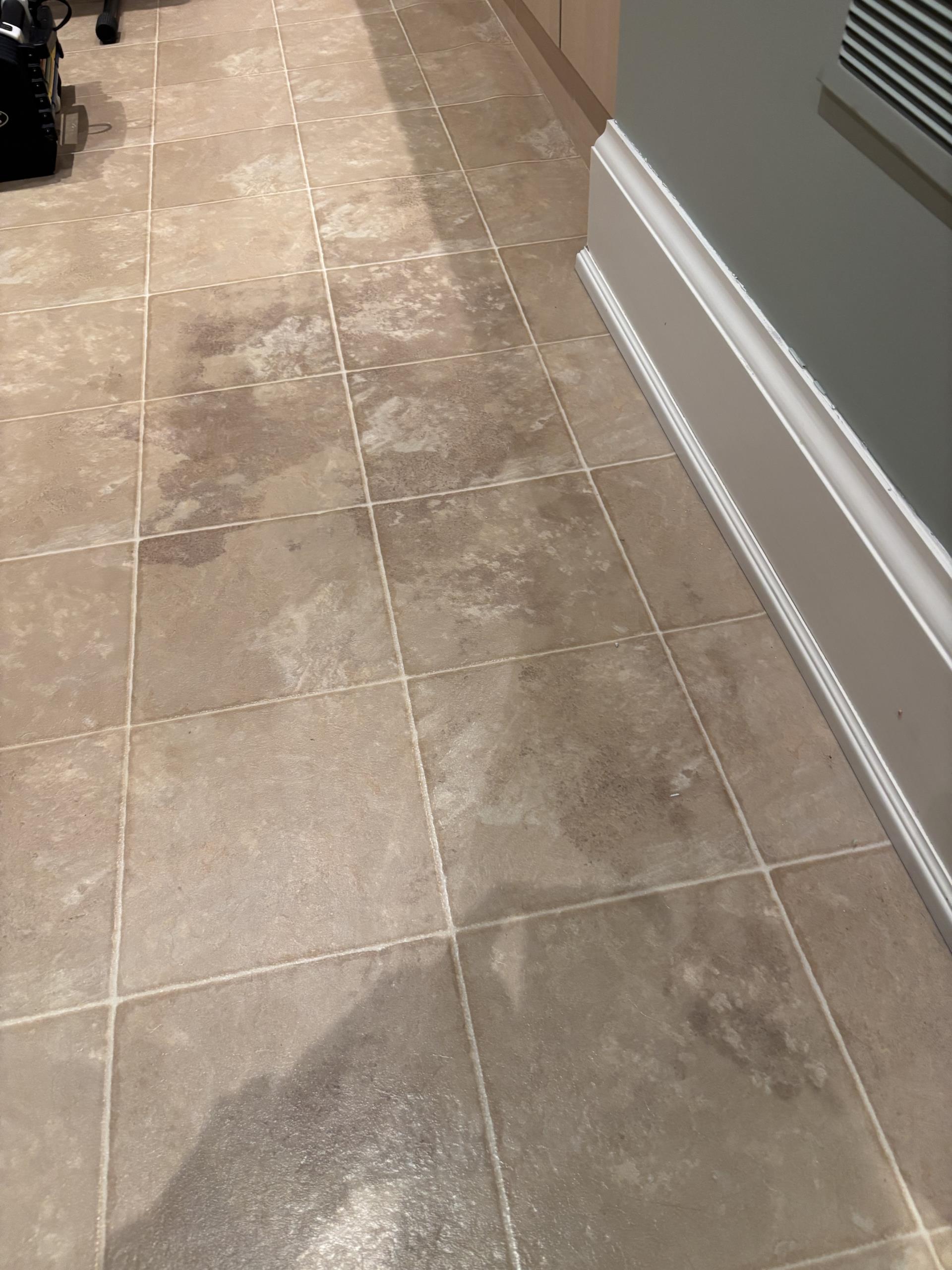 Old Toronto, ON - investigate leak in basement