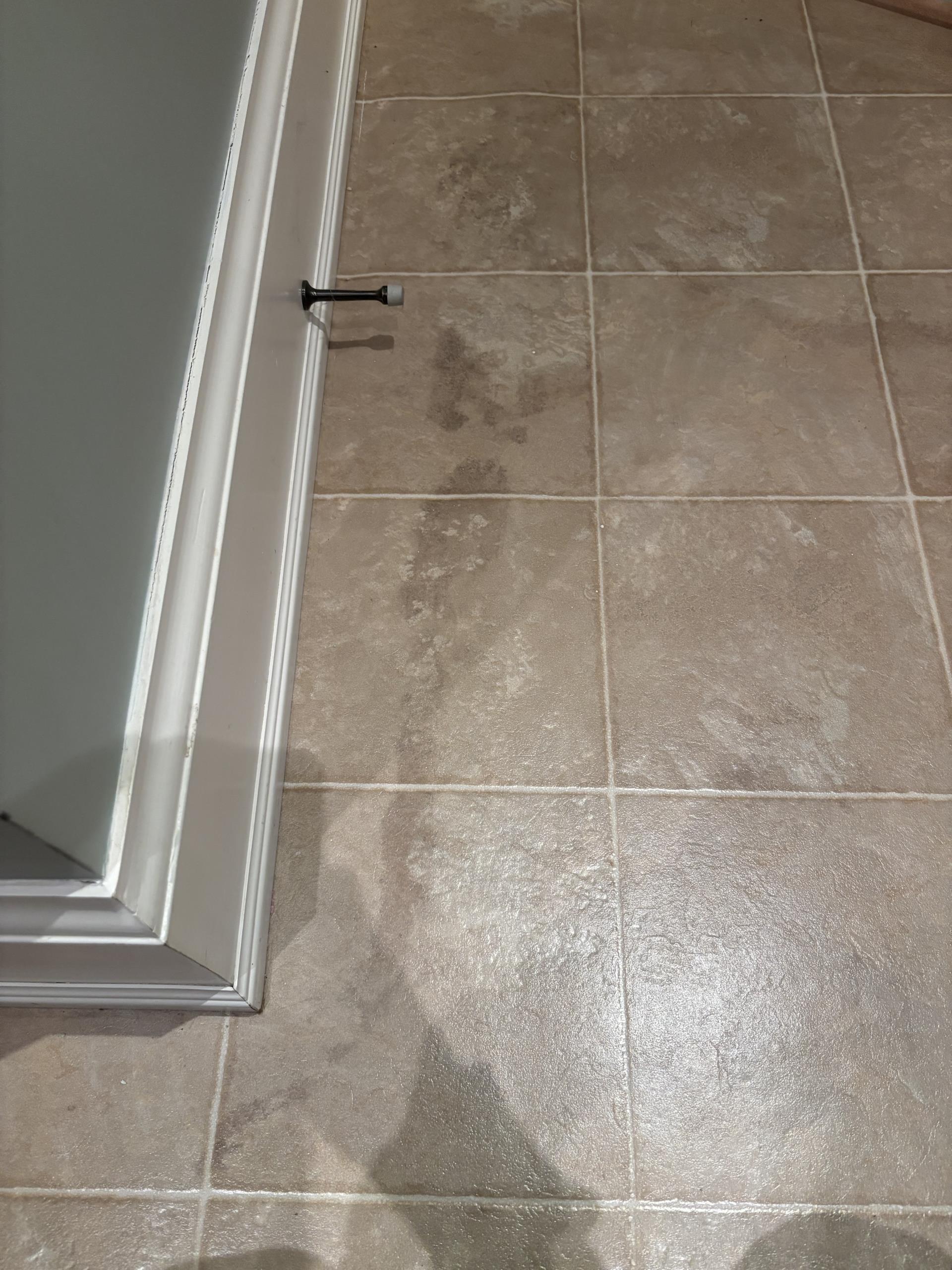 Old Toronto, ON - investigate leak in basement