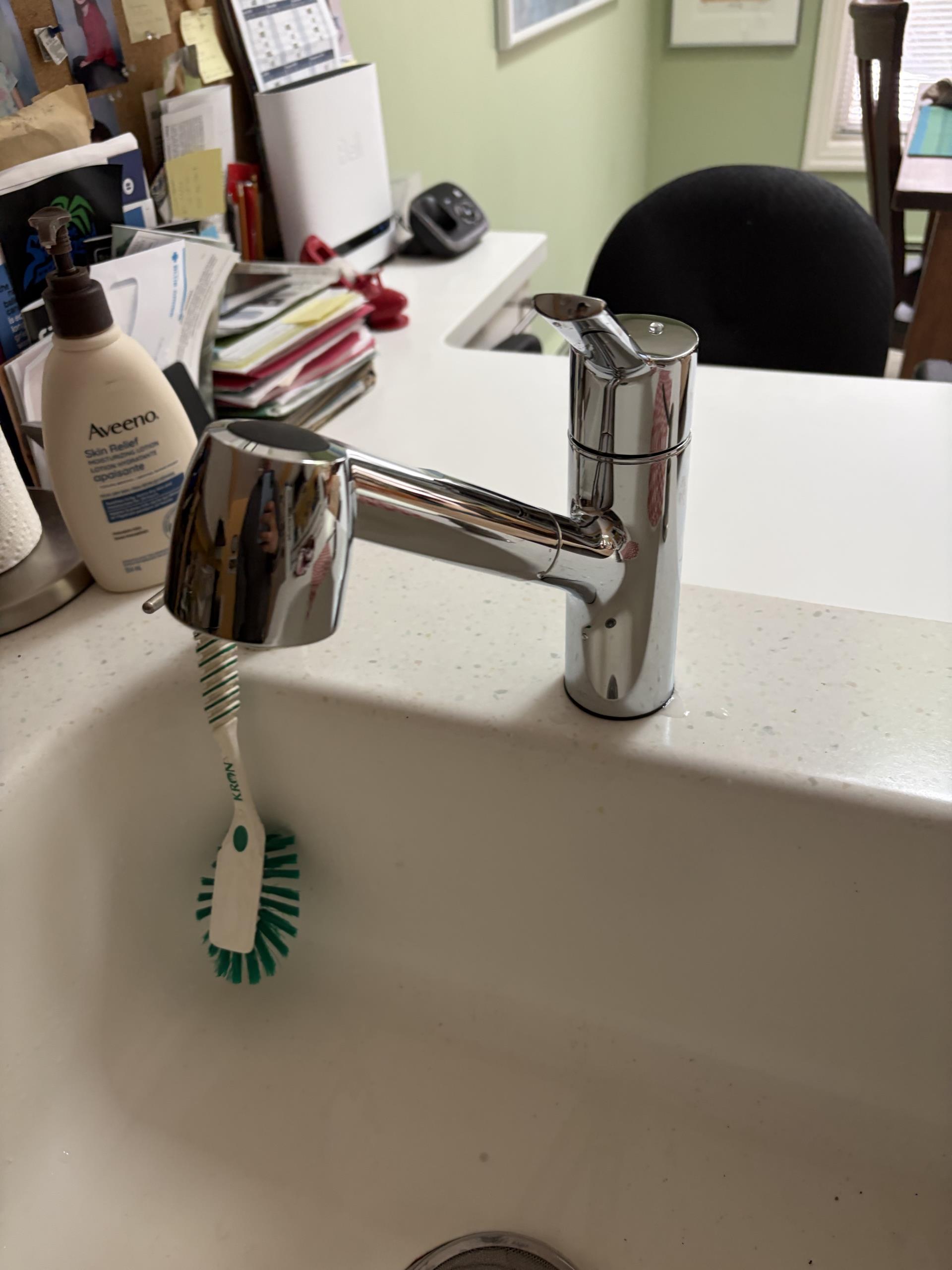 Replace Kitchen Faucet 
