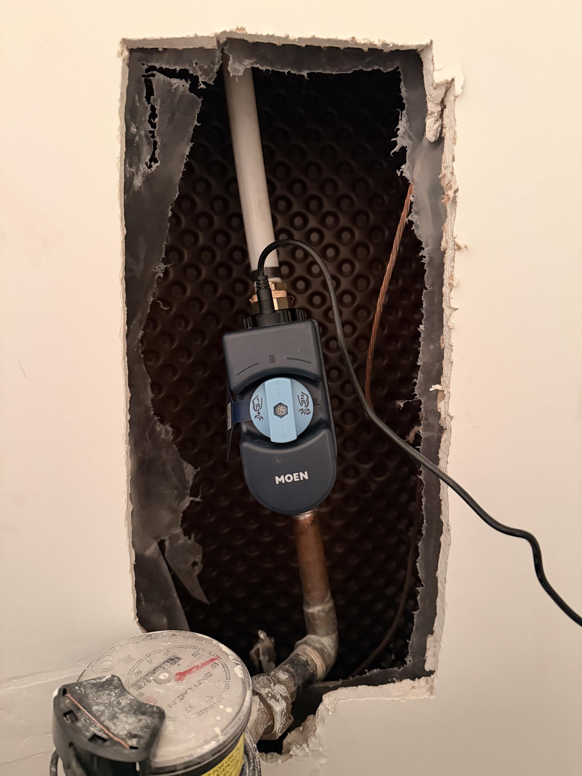 boiler clean, stelrad valve repalcement, & install Flo by moen