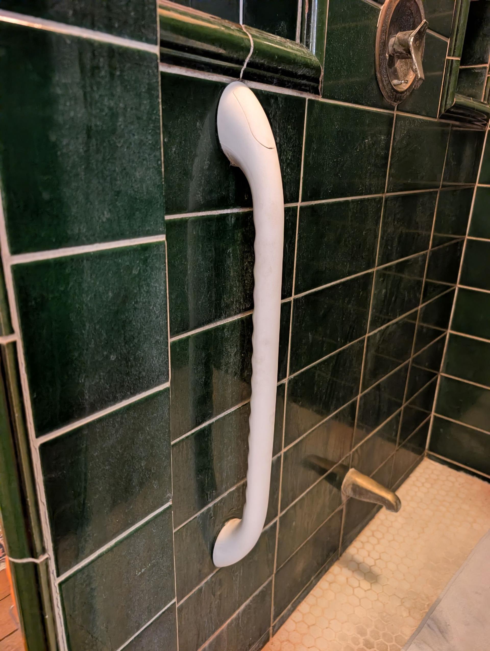 install shower grab bars