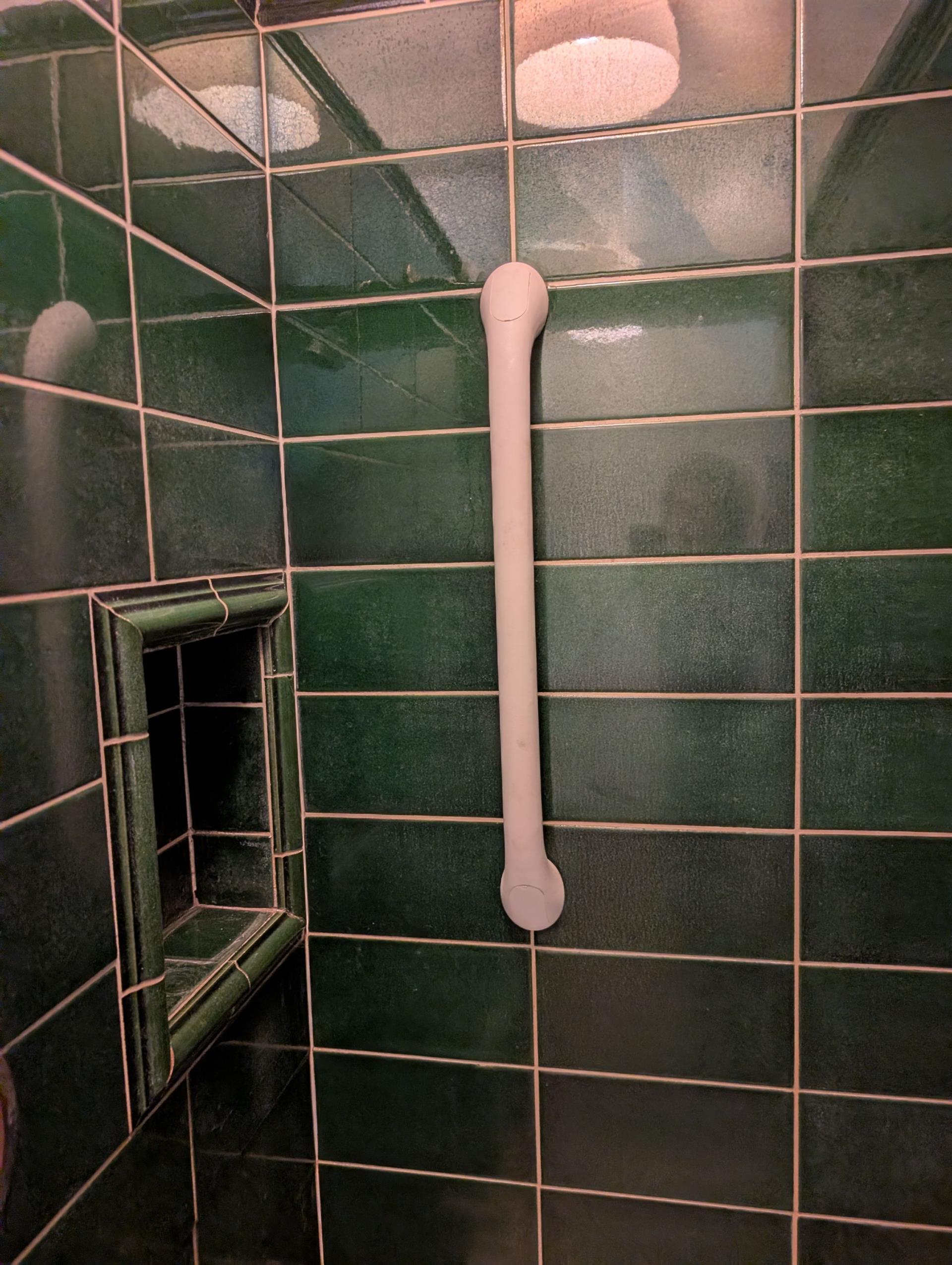 install shower grab bars