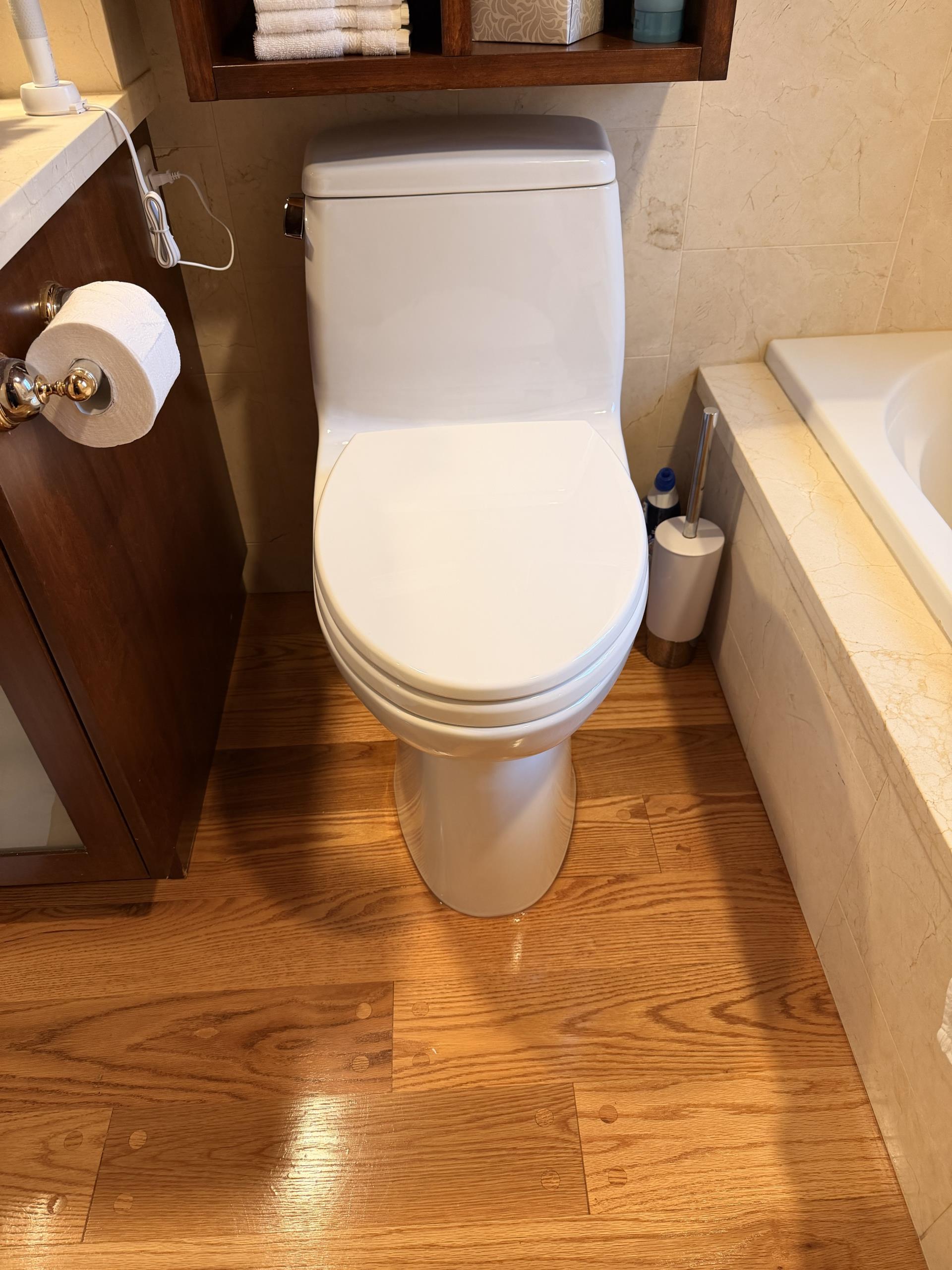 install new toilet
