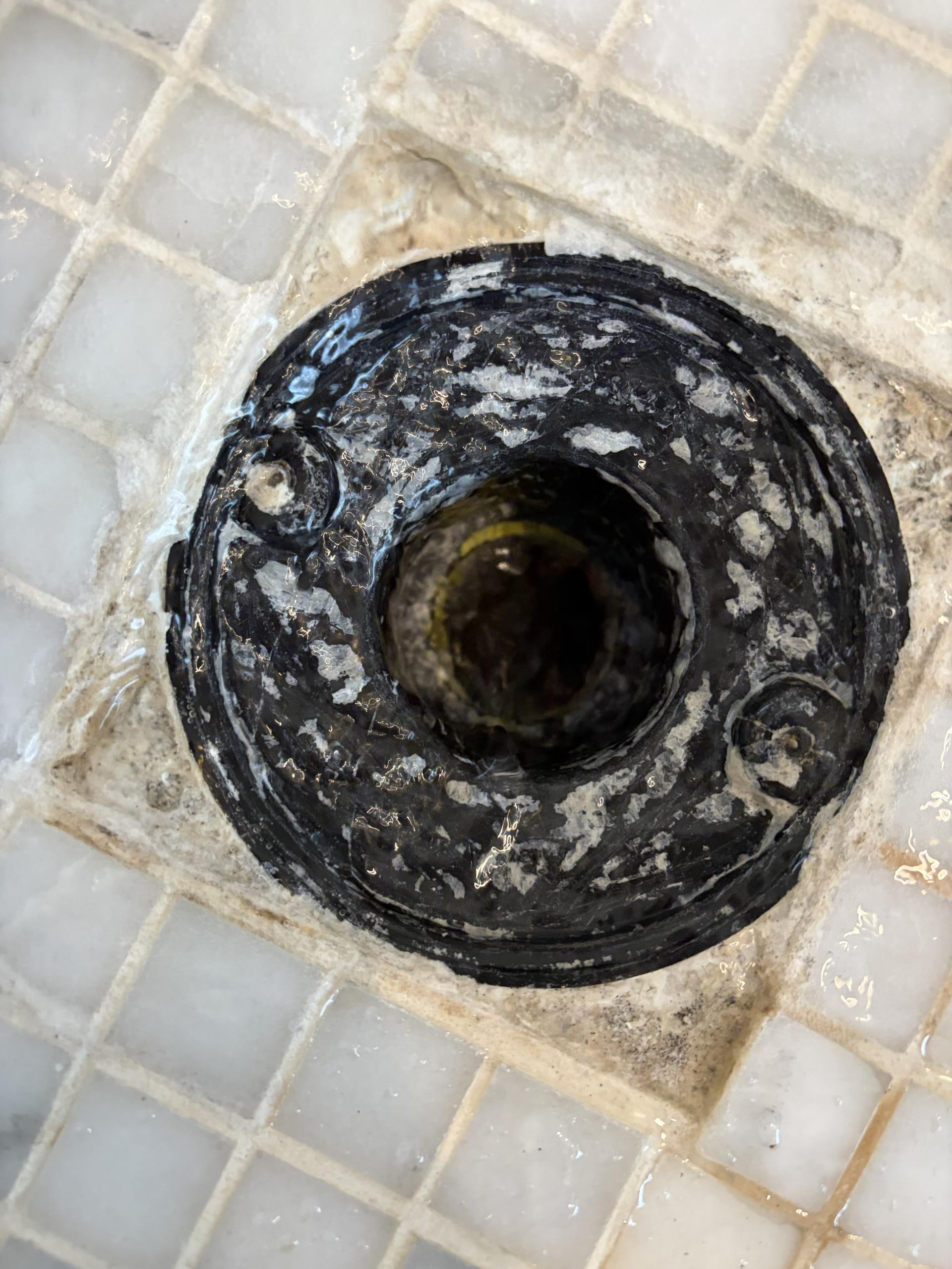 Clear Blocked Shower Drain