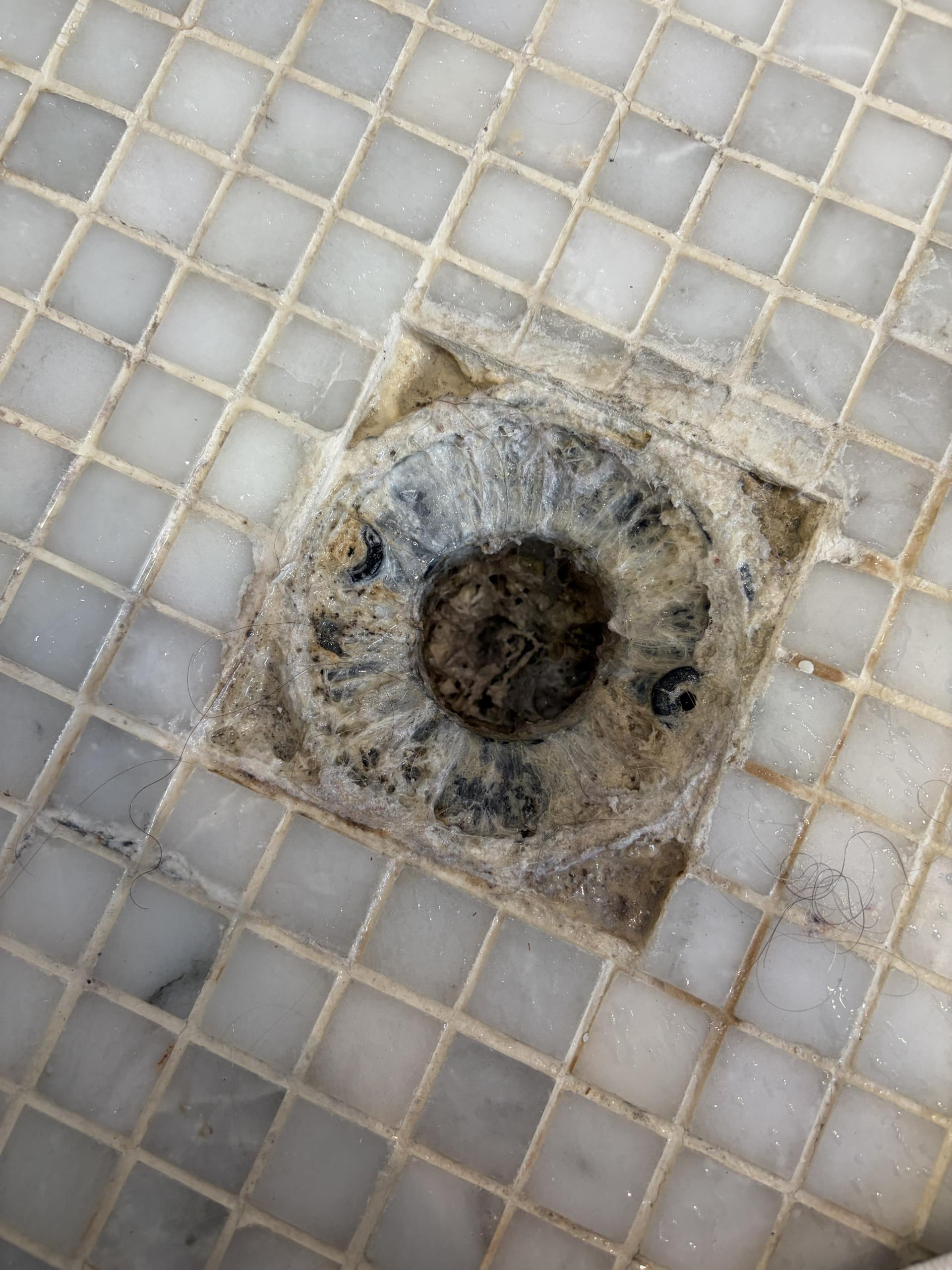 Clear Blocked Shower Drain