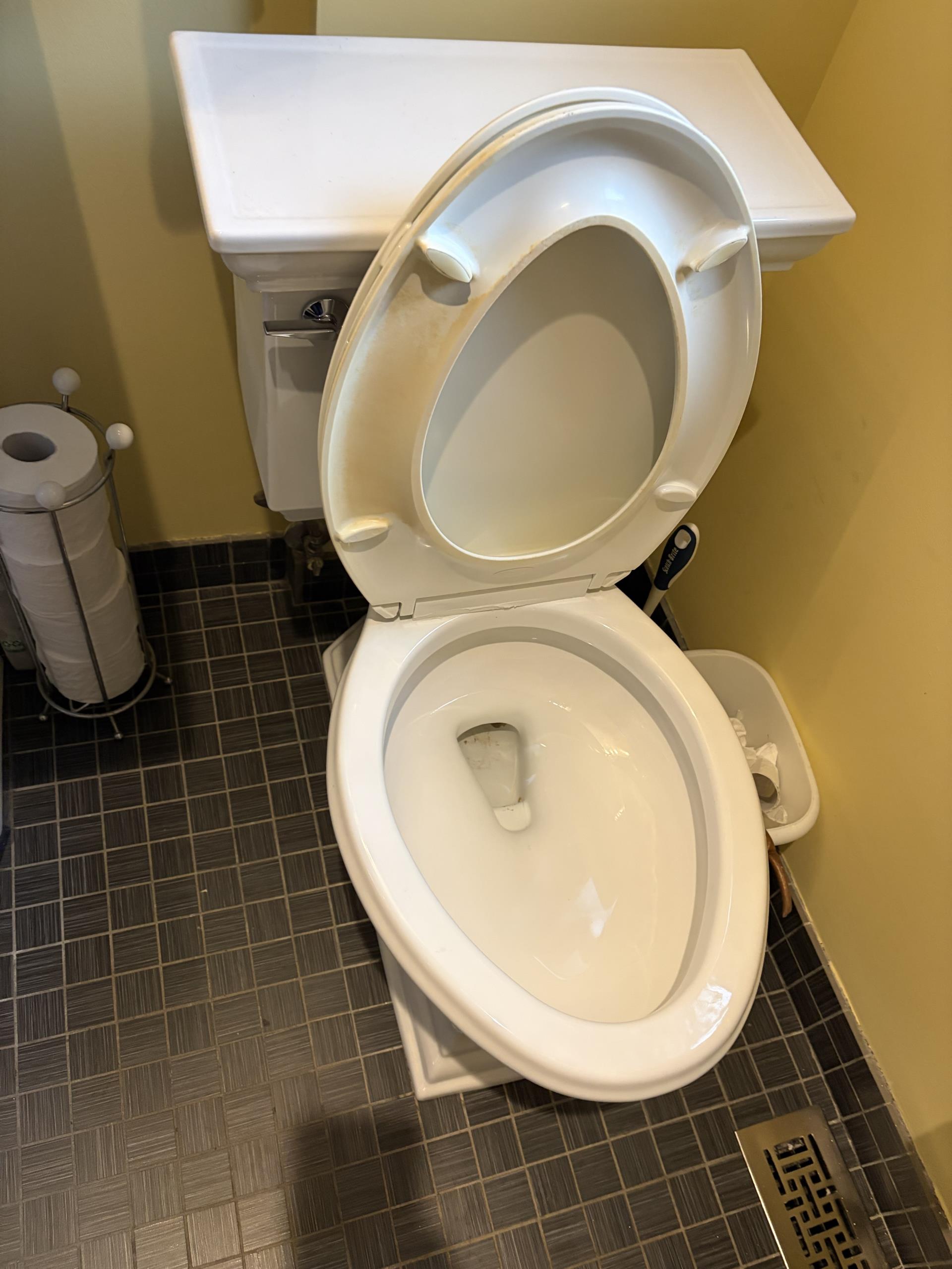 Clear Blocked Toilet