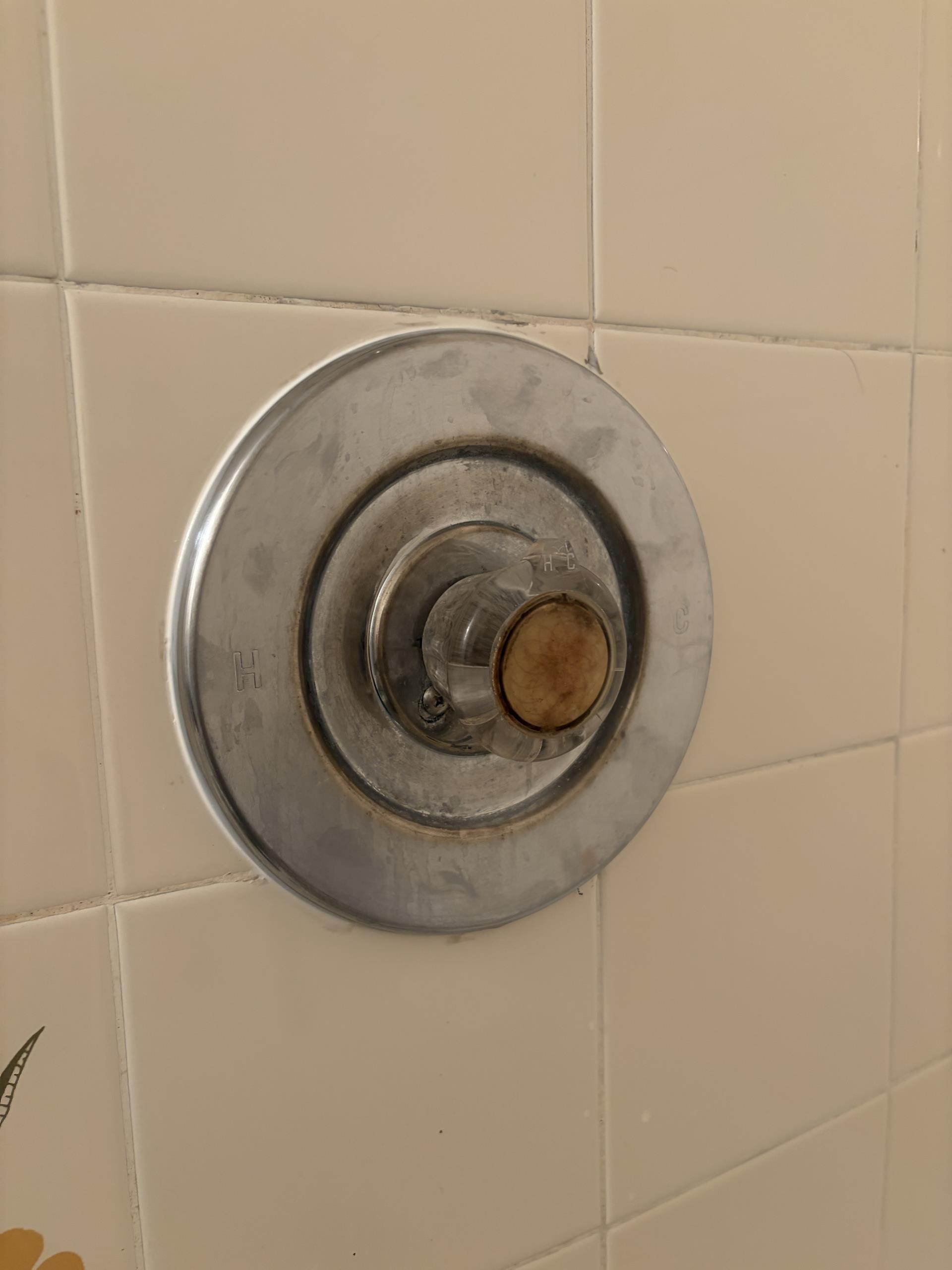 Repair Shower