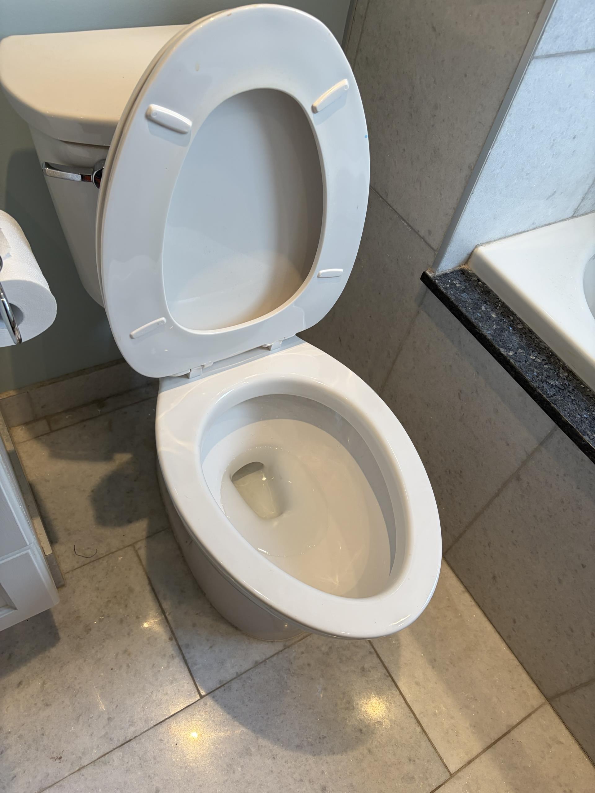 Clear Blocked Toilet