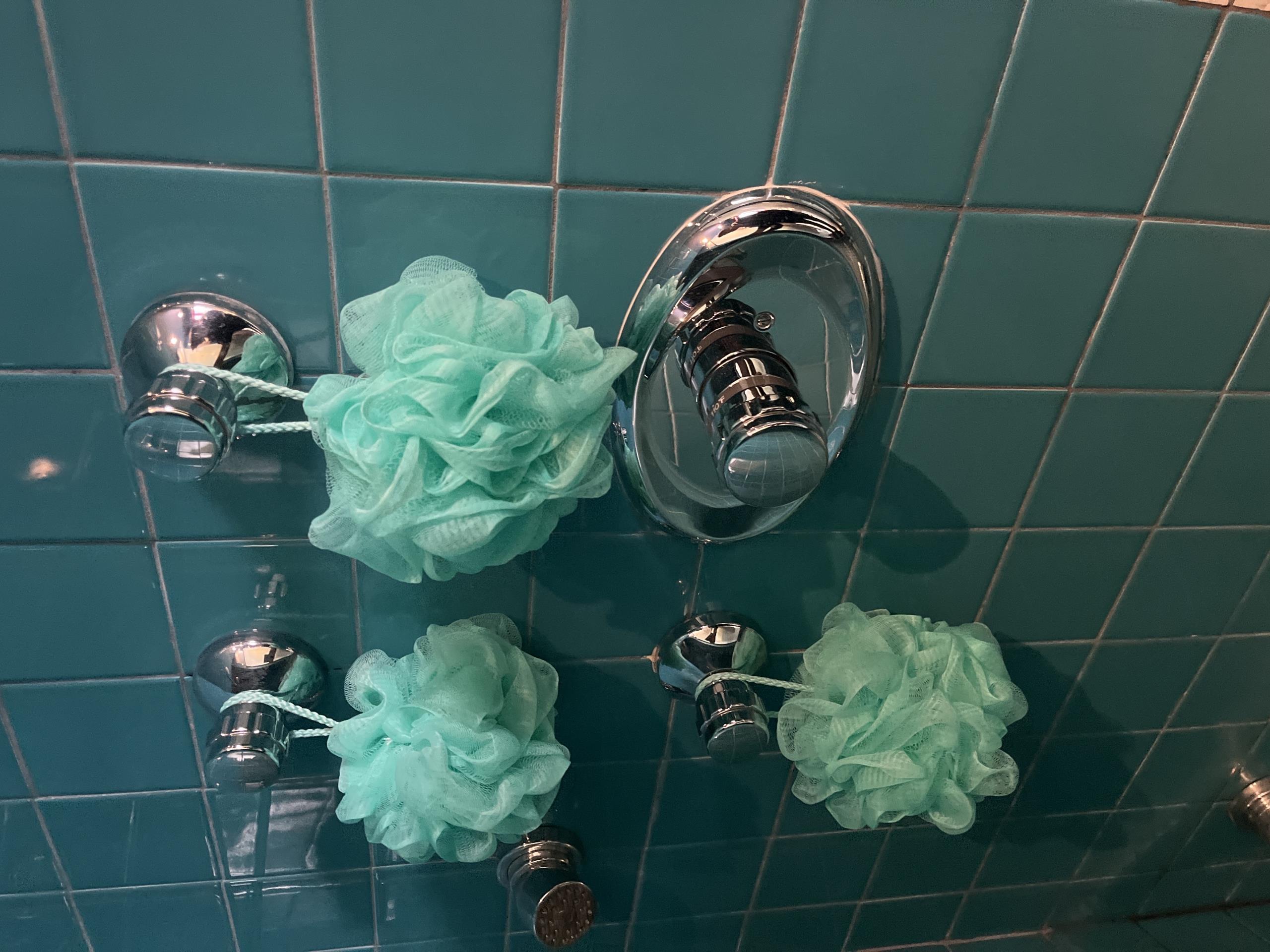 Old Toronto, ON - slow drains and wc has issues