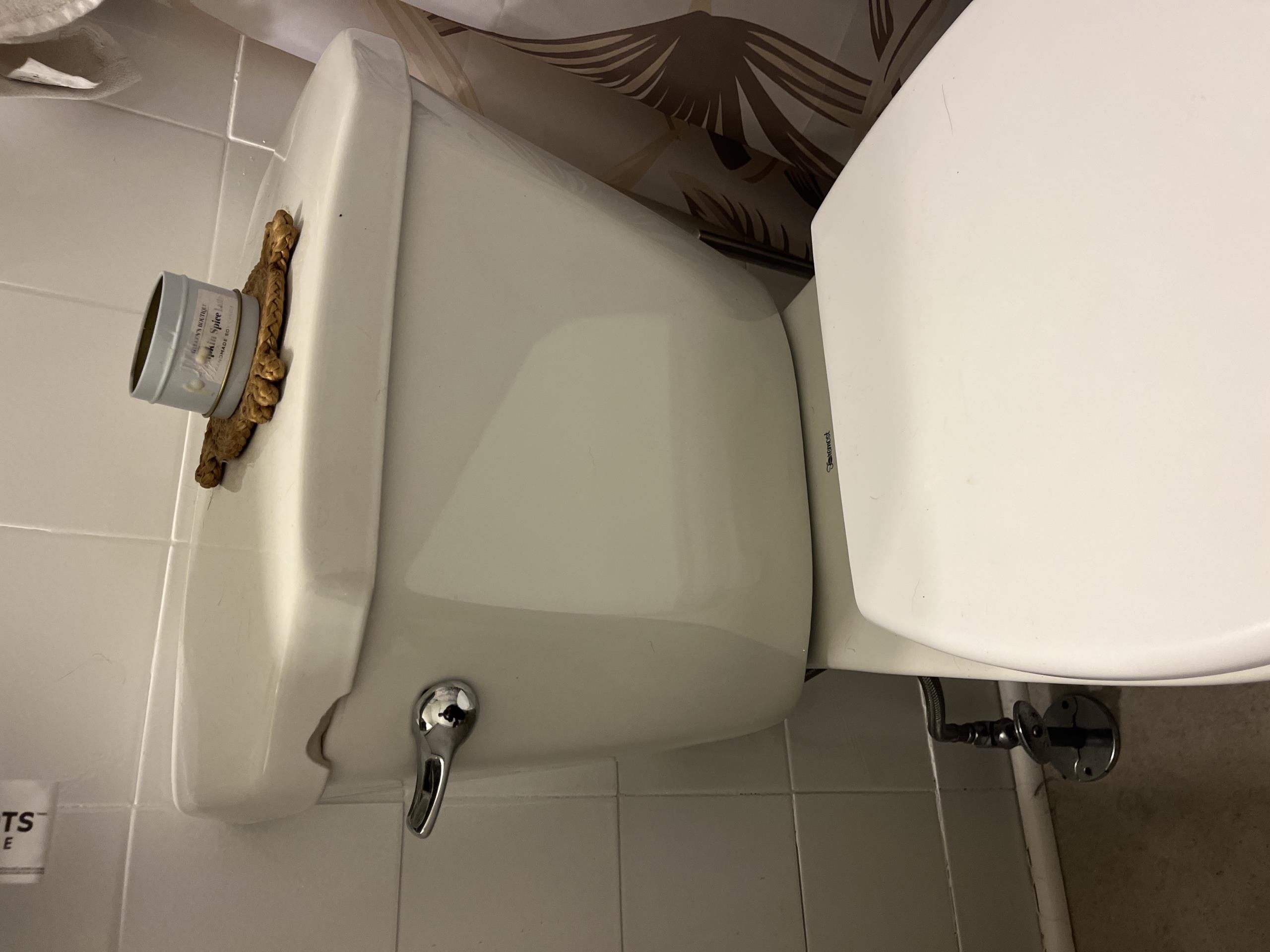 East York, ON - toilet repair