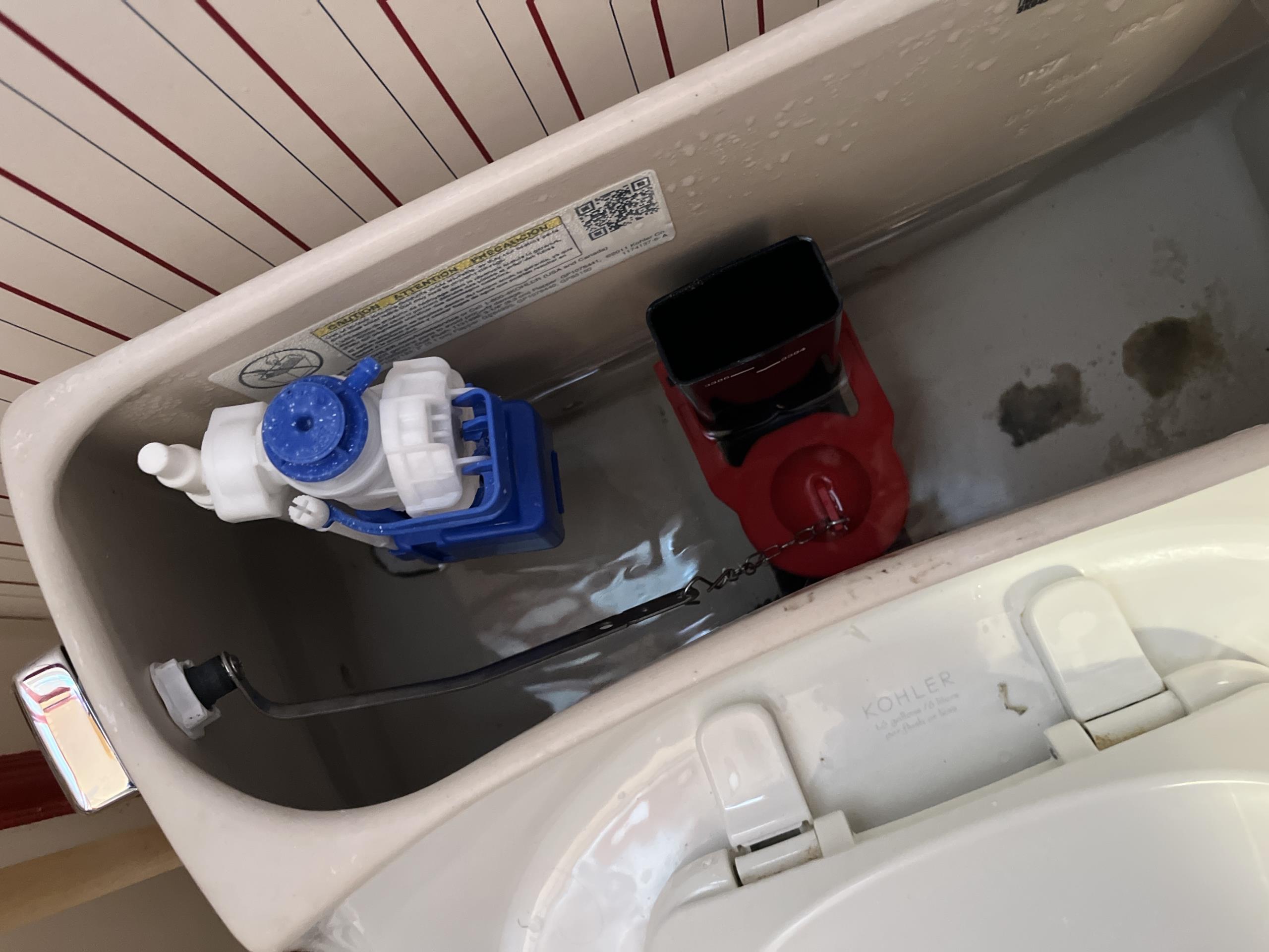 Old Toronto, ON - Supply and install American Standard Champion Pro toilet. Repair other toilets and faucets.