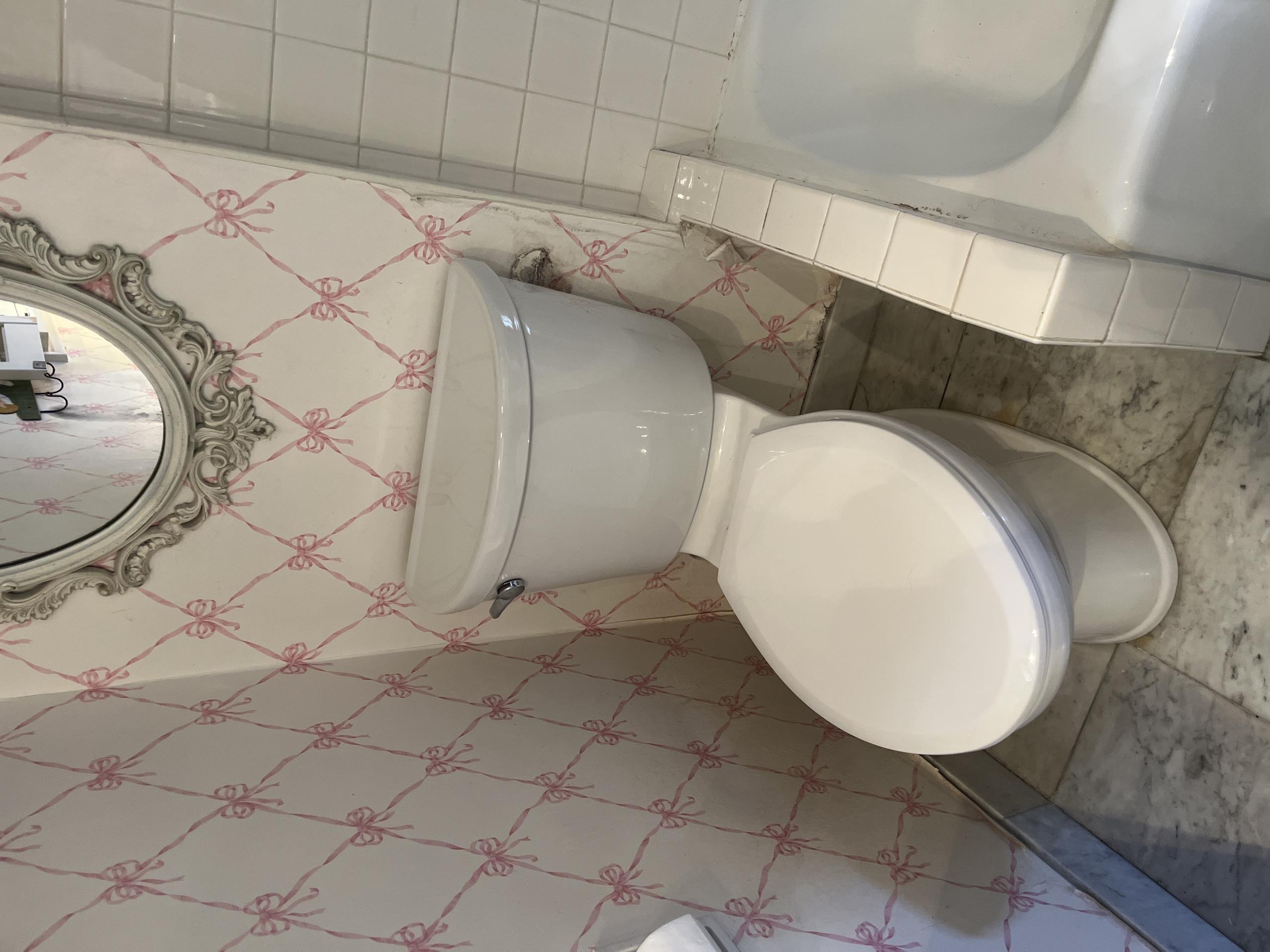 Old Toronto, ON - Supply and install American Standard Champion Pro toilet. Repair other toilets and faucets.