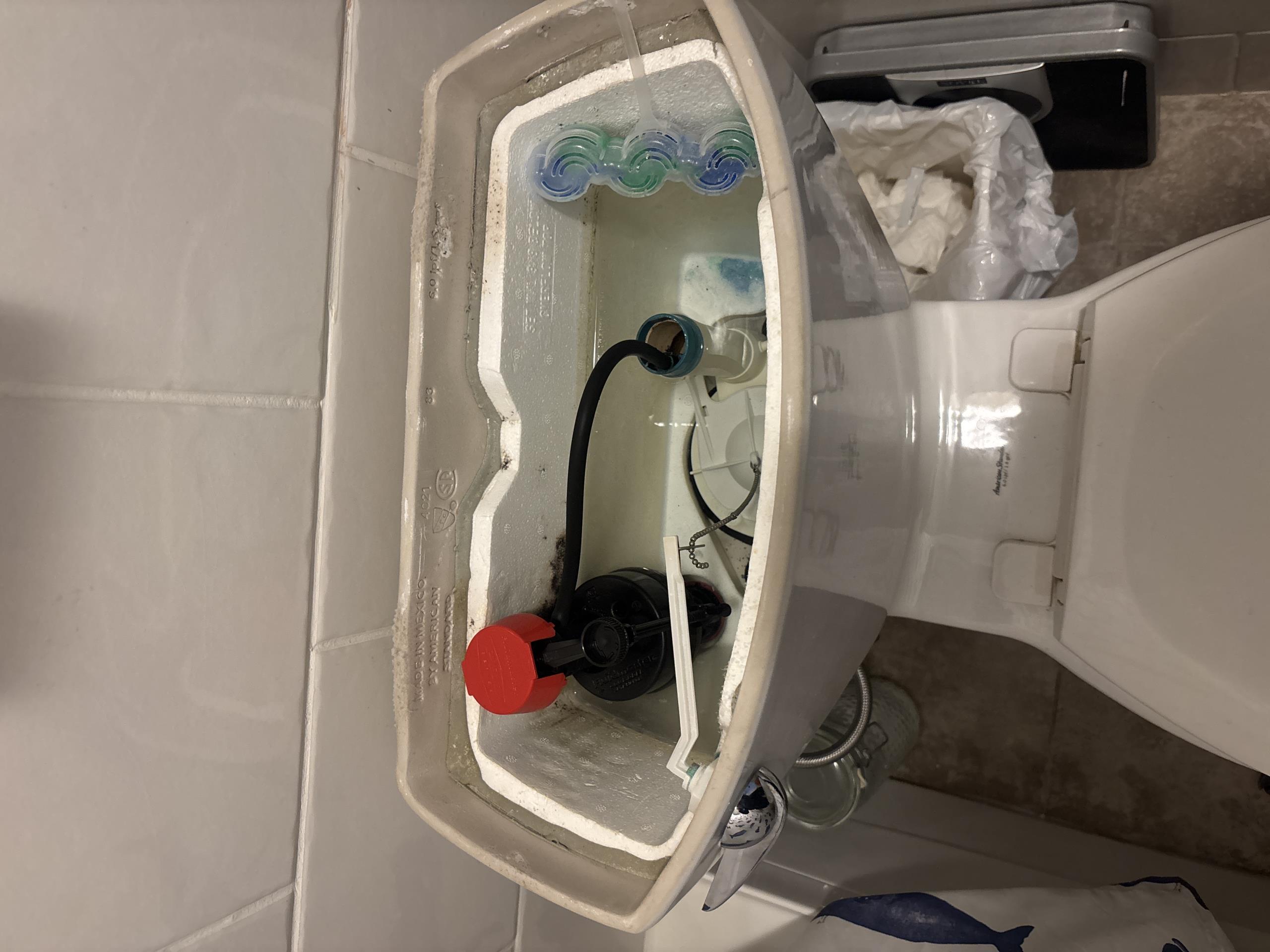 Old Toronto, ON - toilet repair