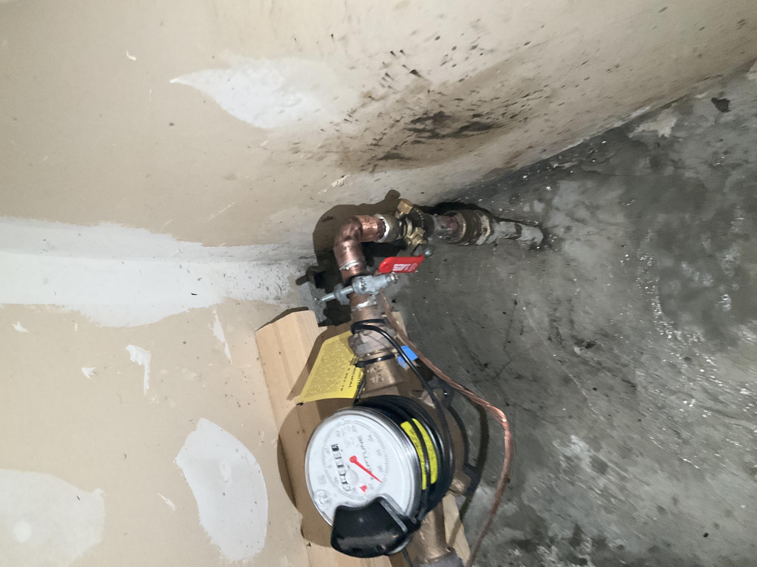 Old Toronto, ON - Replaced main shutoff and main line hose bib