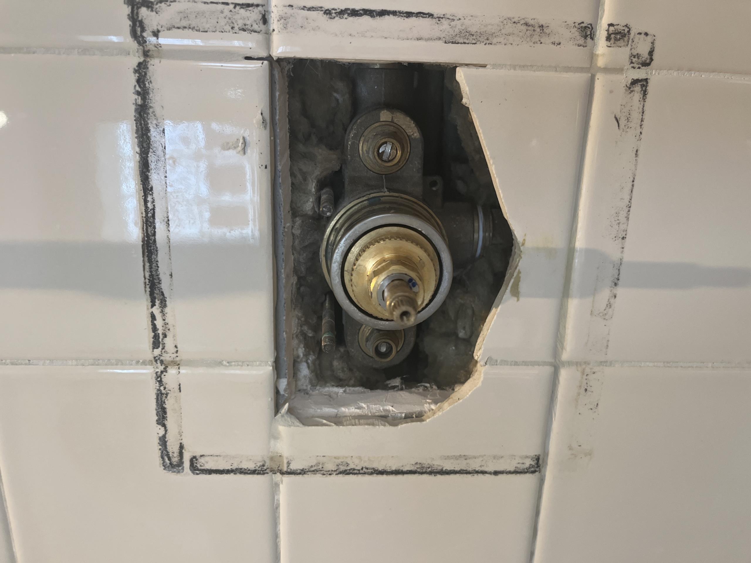 Old Toronto, ON - Installed one piece skirted Toto toilet. Repaired basin faucet.