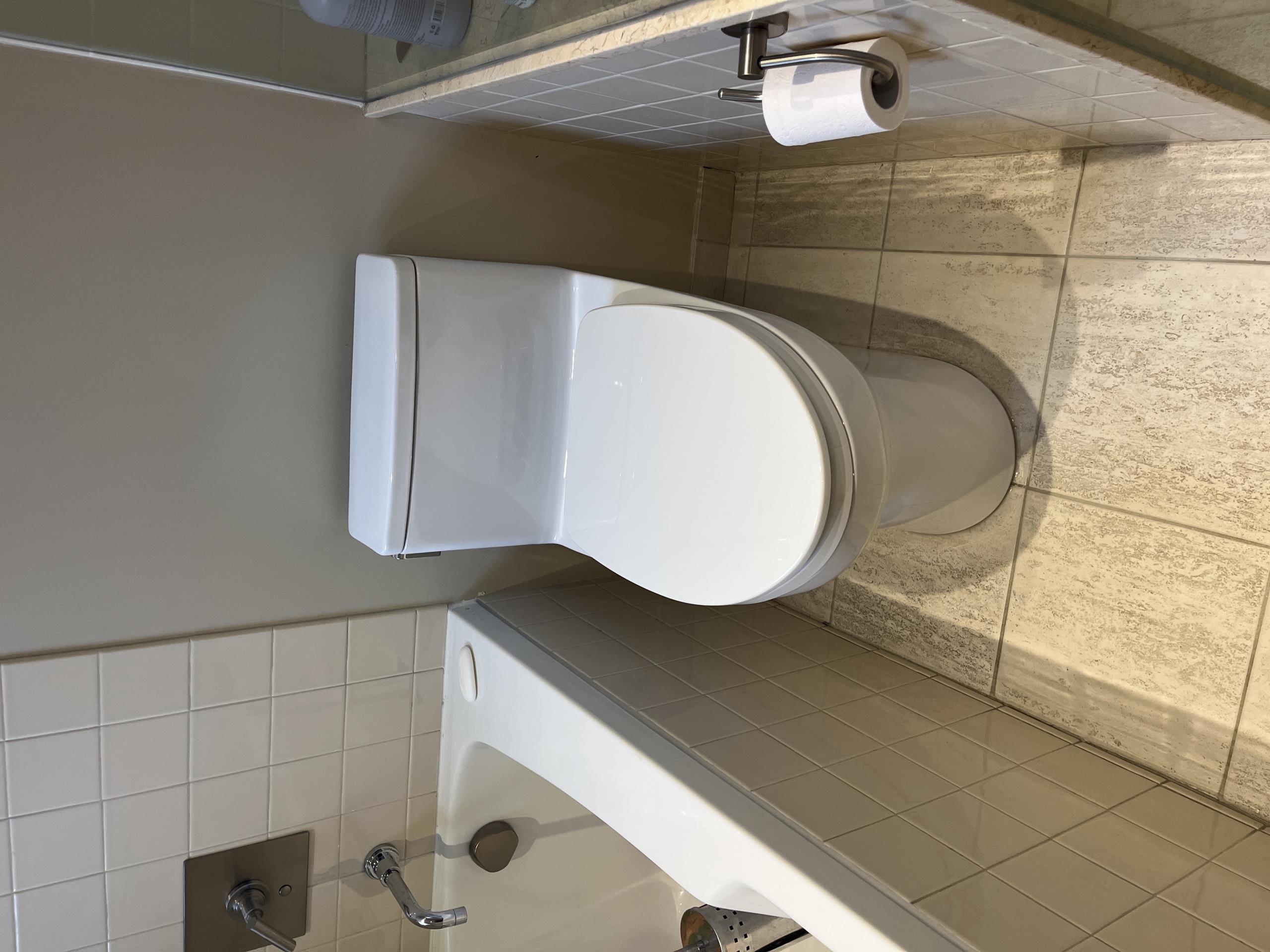 Old Toronto, ON - Installed one piece skirted Toto toilet. Repaired basin faucet.