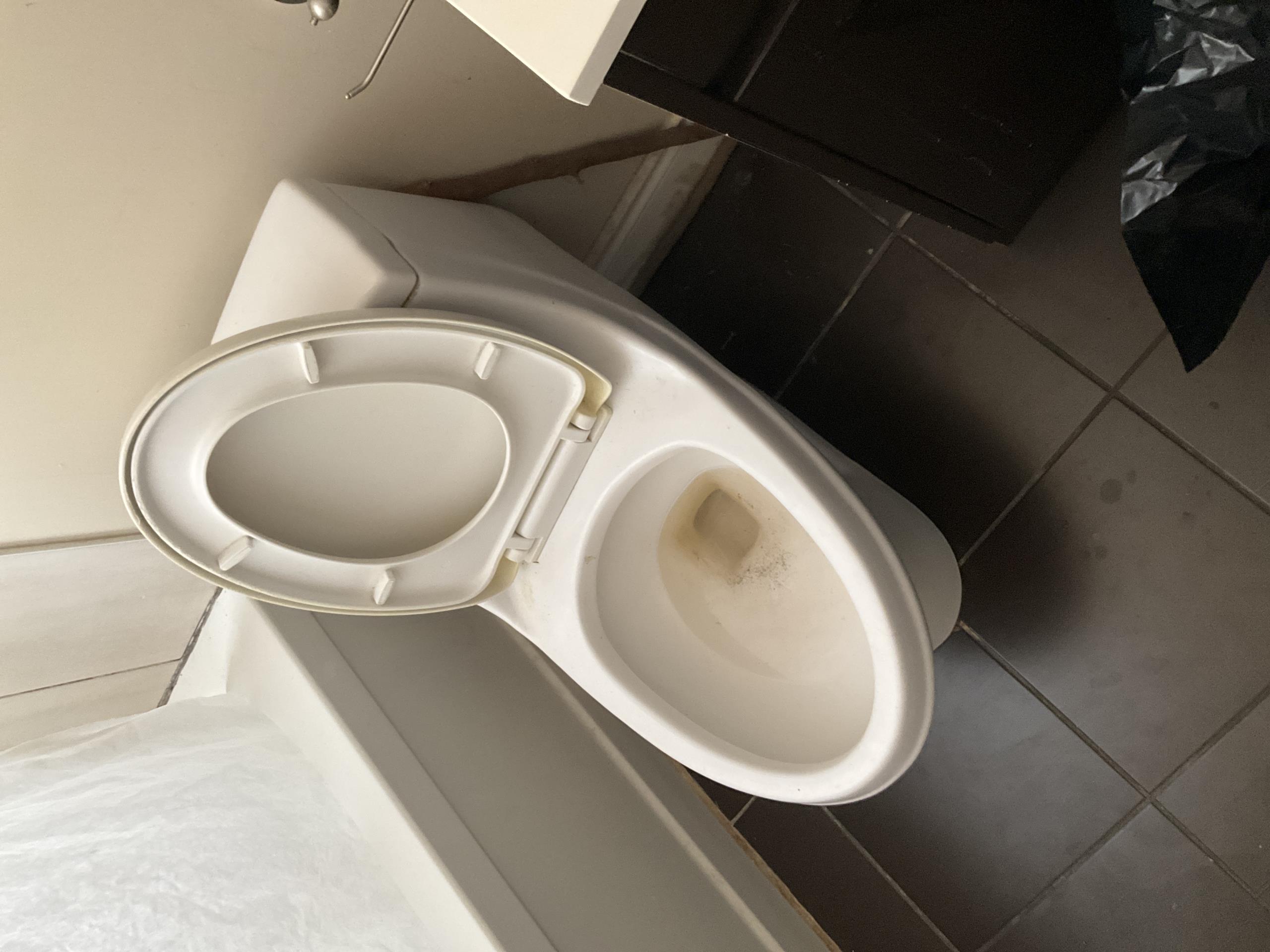 East York, ON - Unclogged sink 