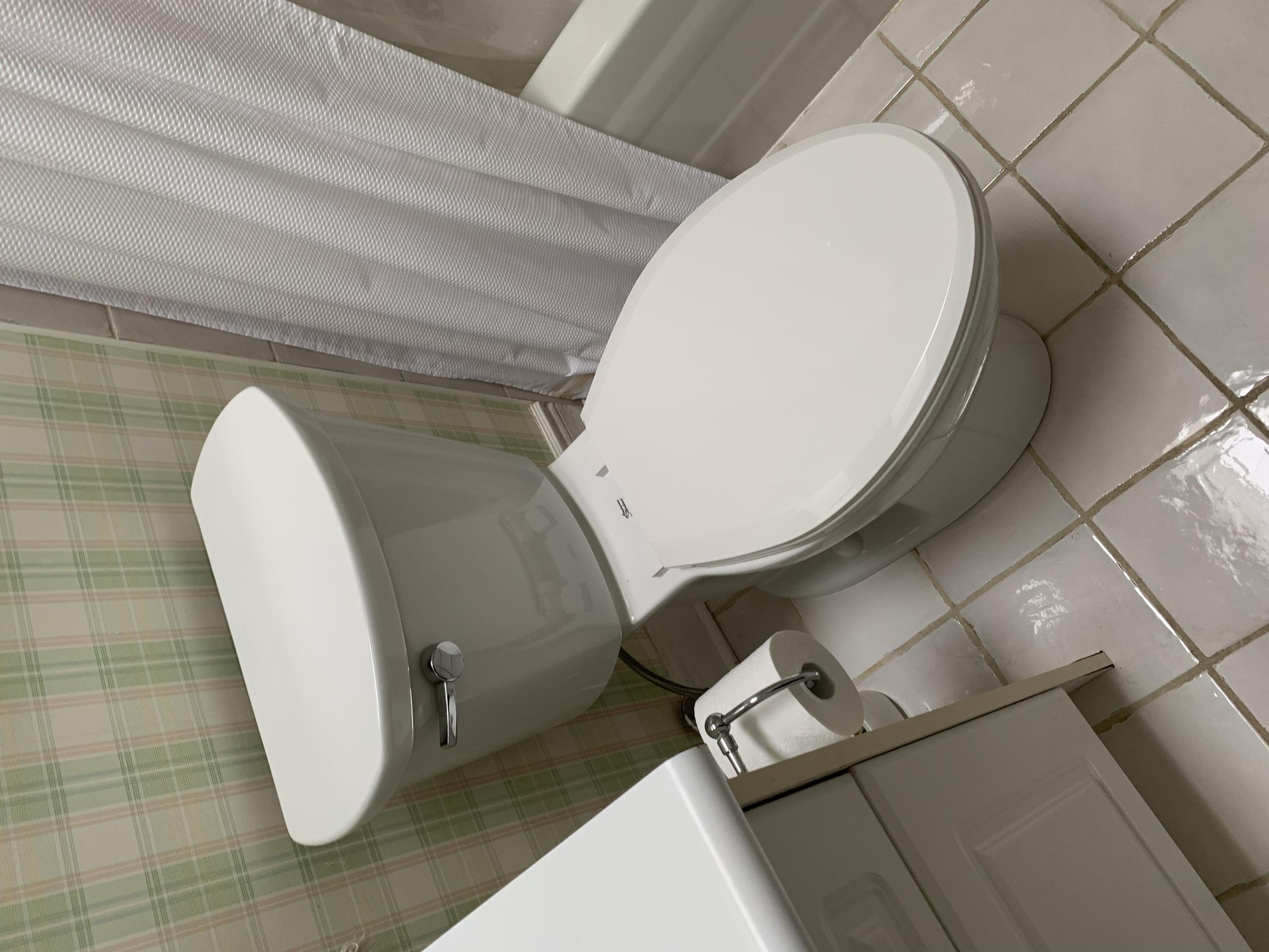 Old Toronto, ON - Replaced two toilets, shower head and flushed hot water tank