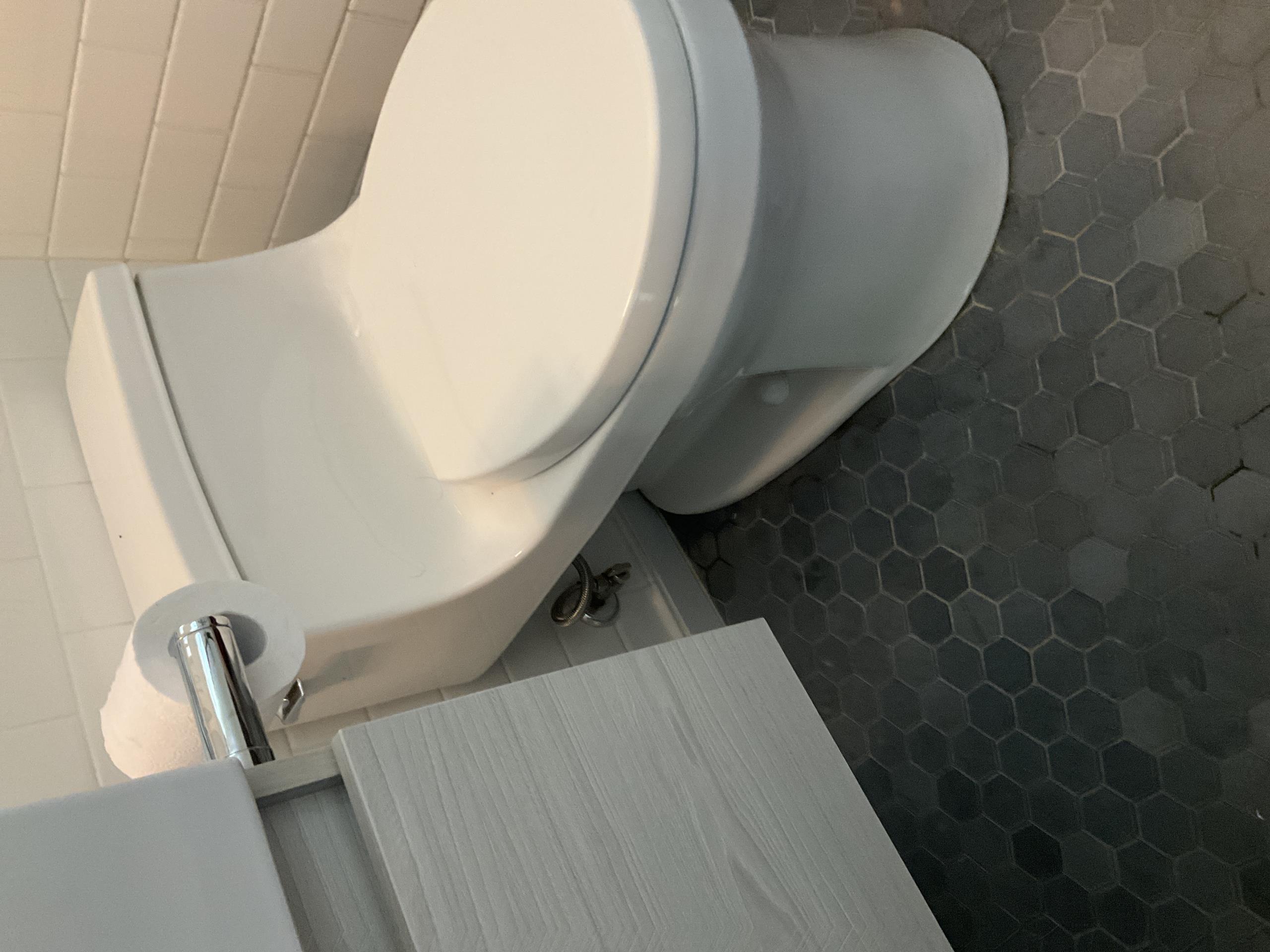Old Toronto, ON - Repaired toilet Old Toronto, ON - Repaired toilet